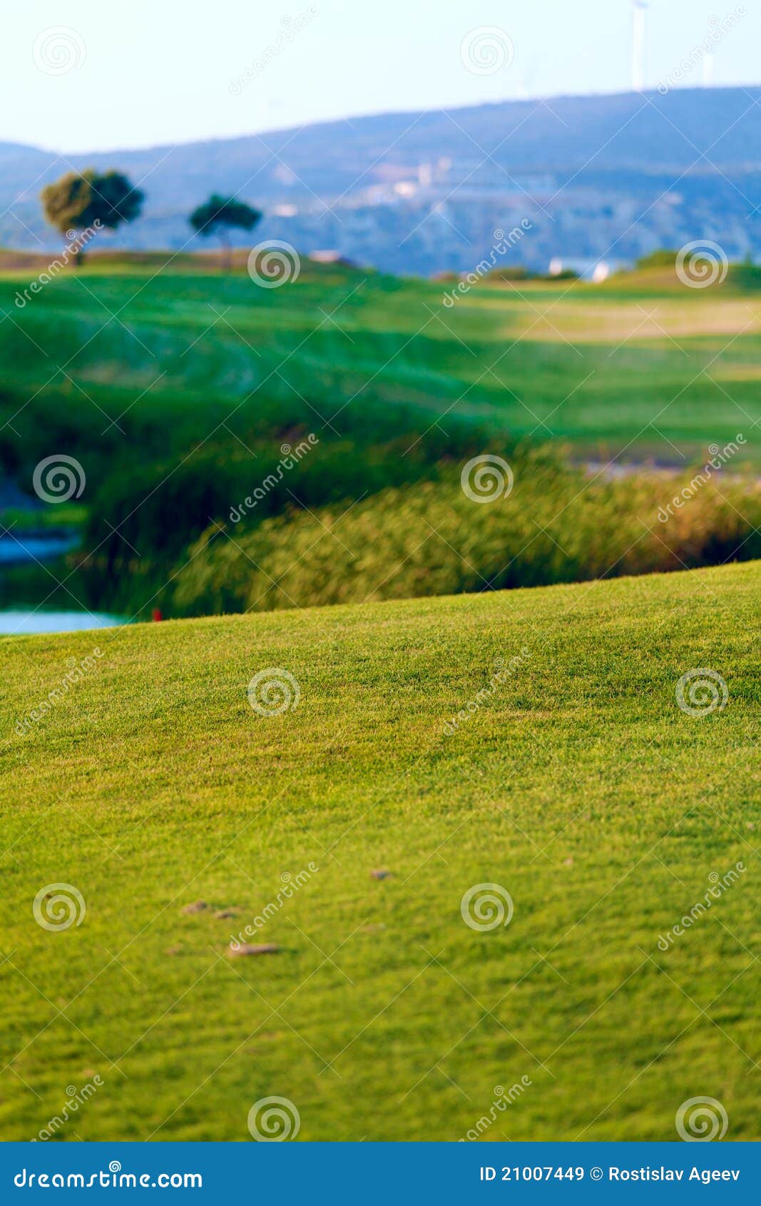 Putting Green of Golf Field Stock Image Image of sunny, view 21007449