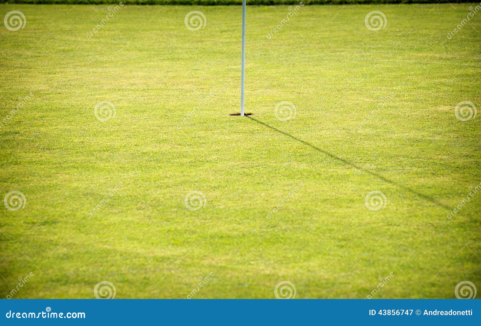 Putting Green and Hole on a Golf Course Stock Image Image of activity
