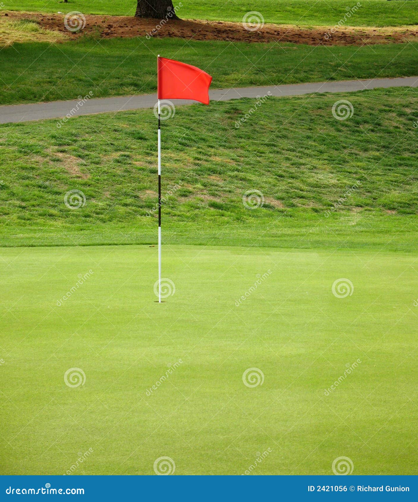 Putting Green Marker stock photo. Image of afternoon, sports 2421056
