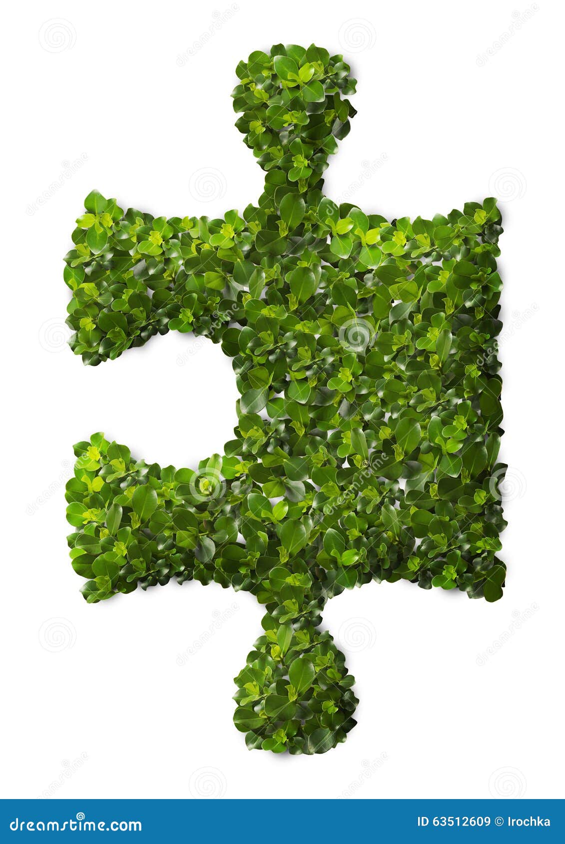 Puzzle Leaf texture. stock image. Image of life, grass - 63512609