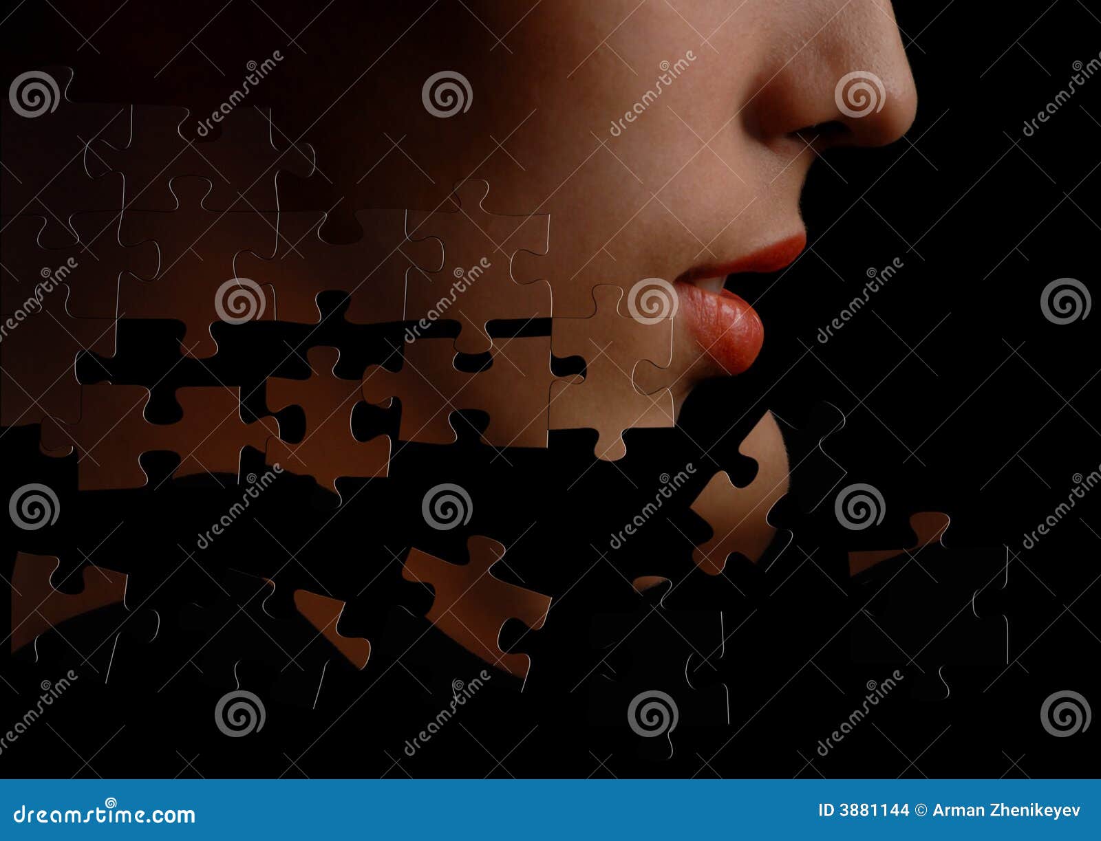Puzzlevisage photo stock. Image du concept, modèle, créativité 3881144
