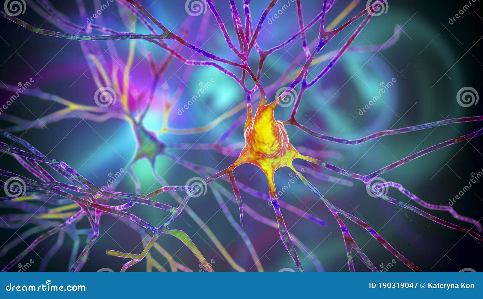 Pyramidal Neurons of the Human Brain Stock Illustration - Illustration ...