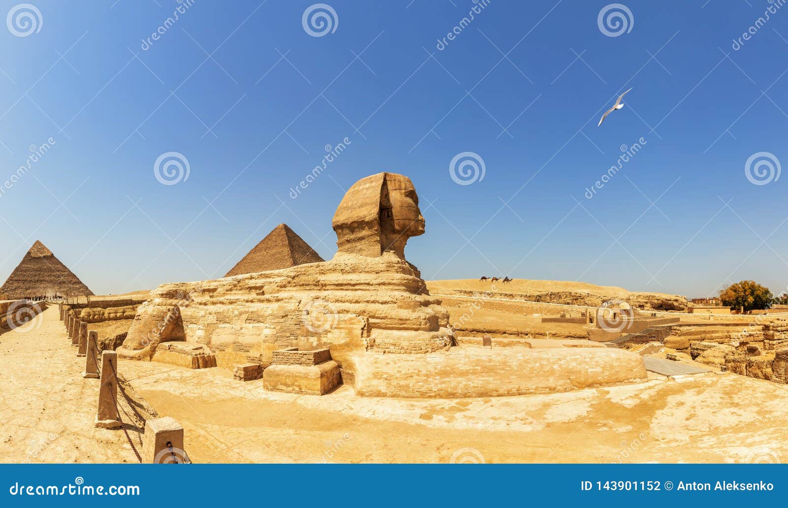 pyramids of giza panorama, view on the sphinx, the pyramid of cheops and the pyramid of chephren