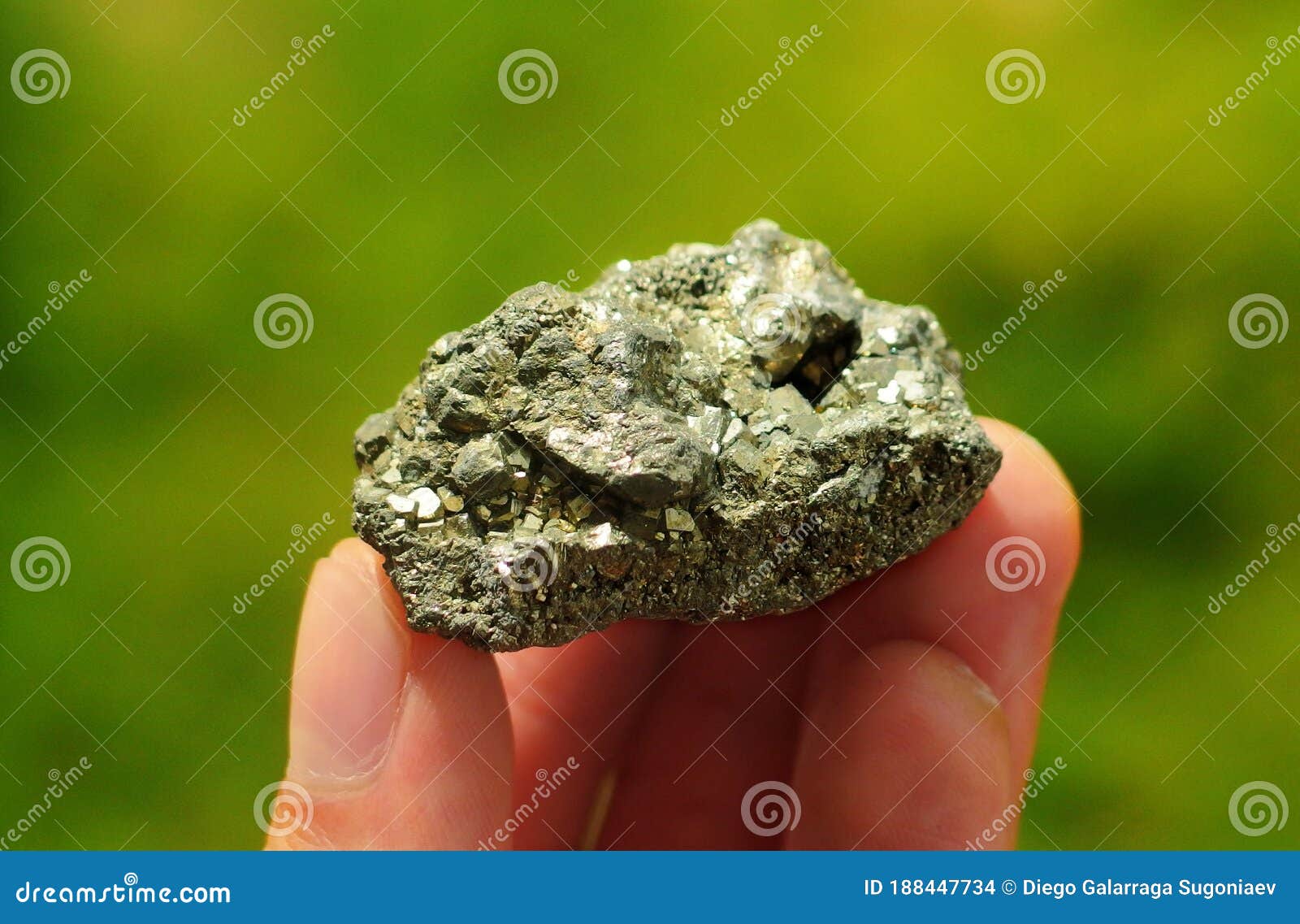 Pyrite Or Fool S Gold From Peru Held In A Hand Stock Photo Image Of Collection Interesting 188447734