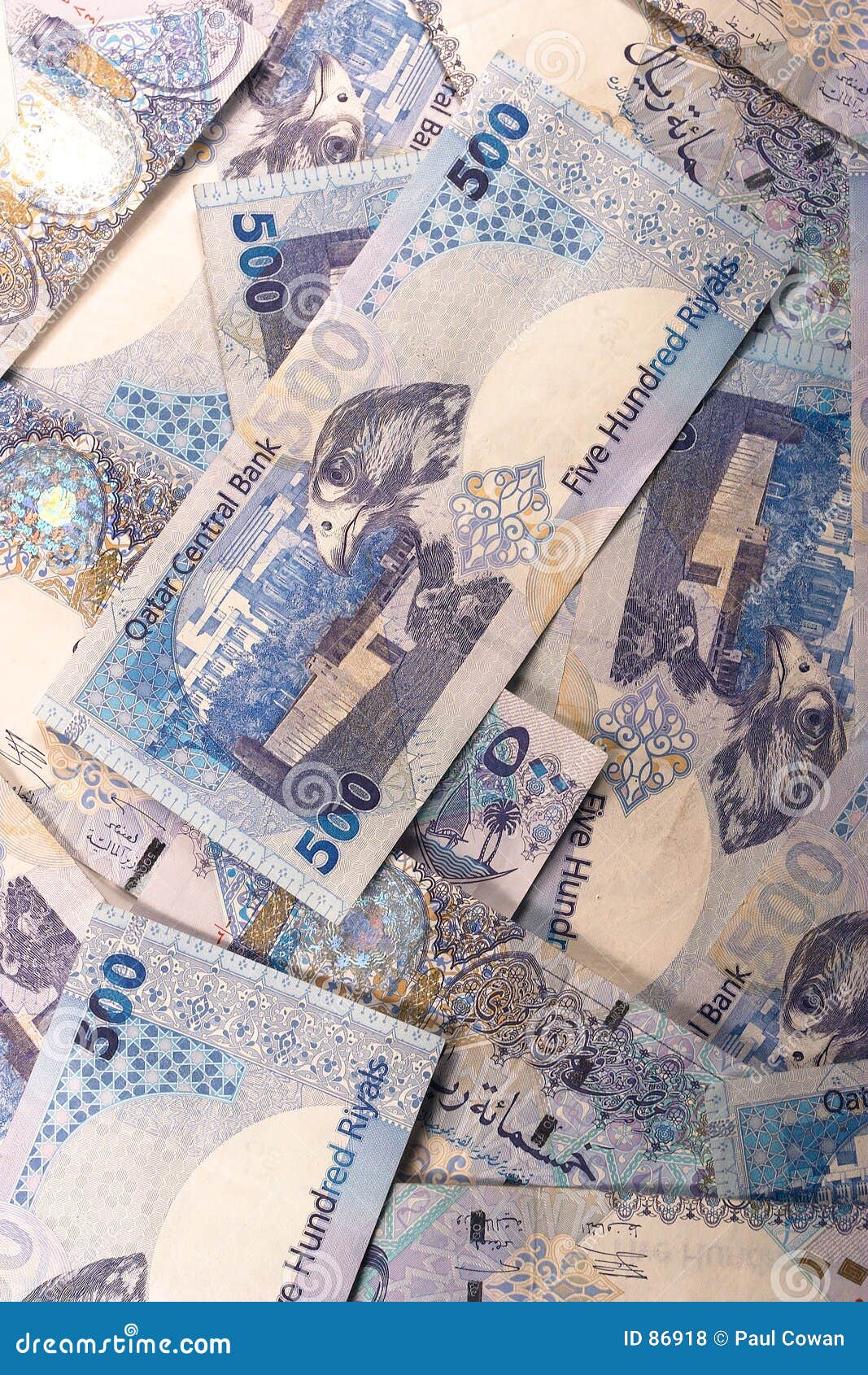 qatari riyals
