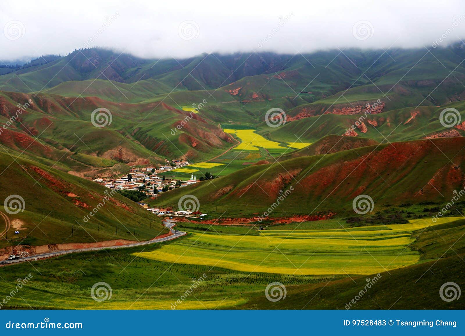 qinghai qilian zhuoer mountain scenery and cole flowers