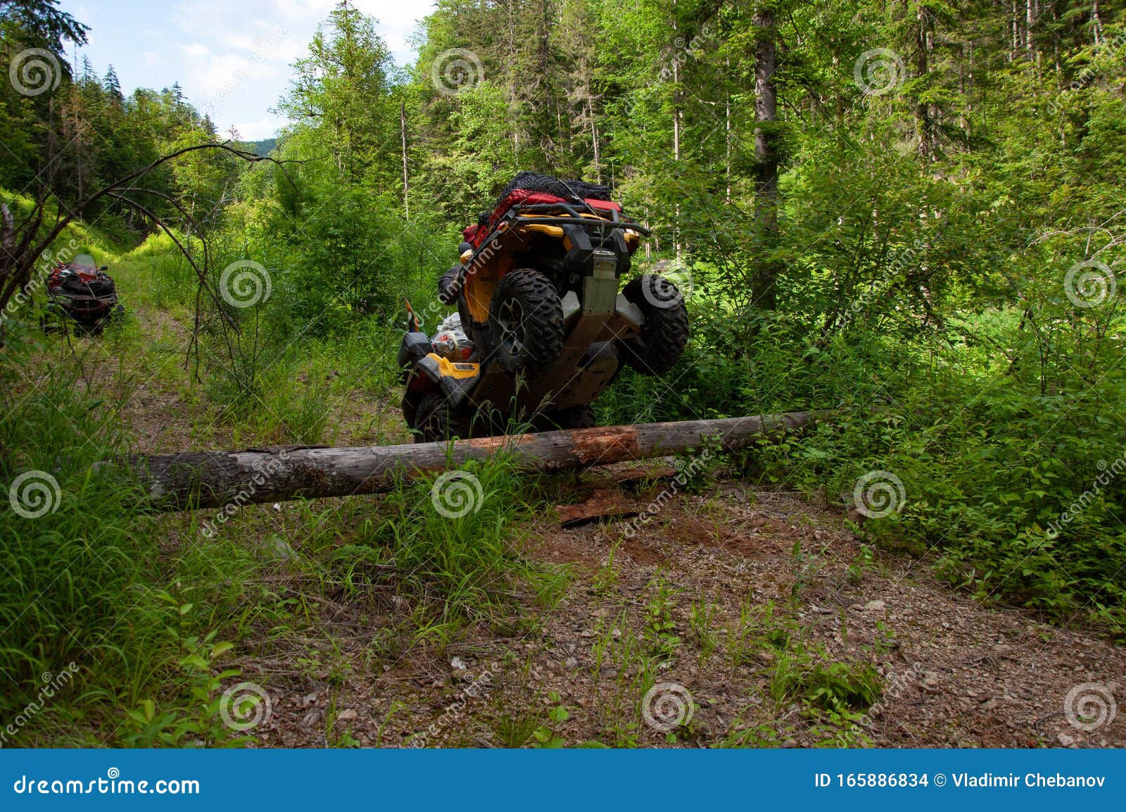 The Quad Bike Jumps Over the Log in Summer Stock Photo Image of adventure, wheel 165886834