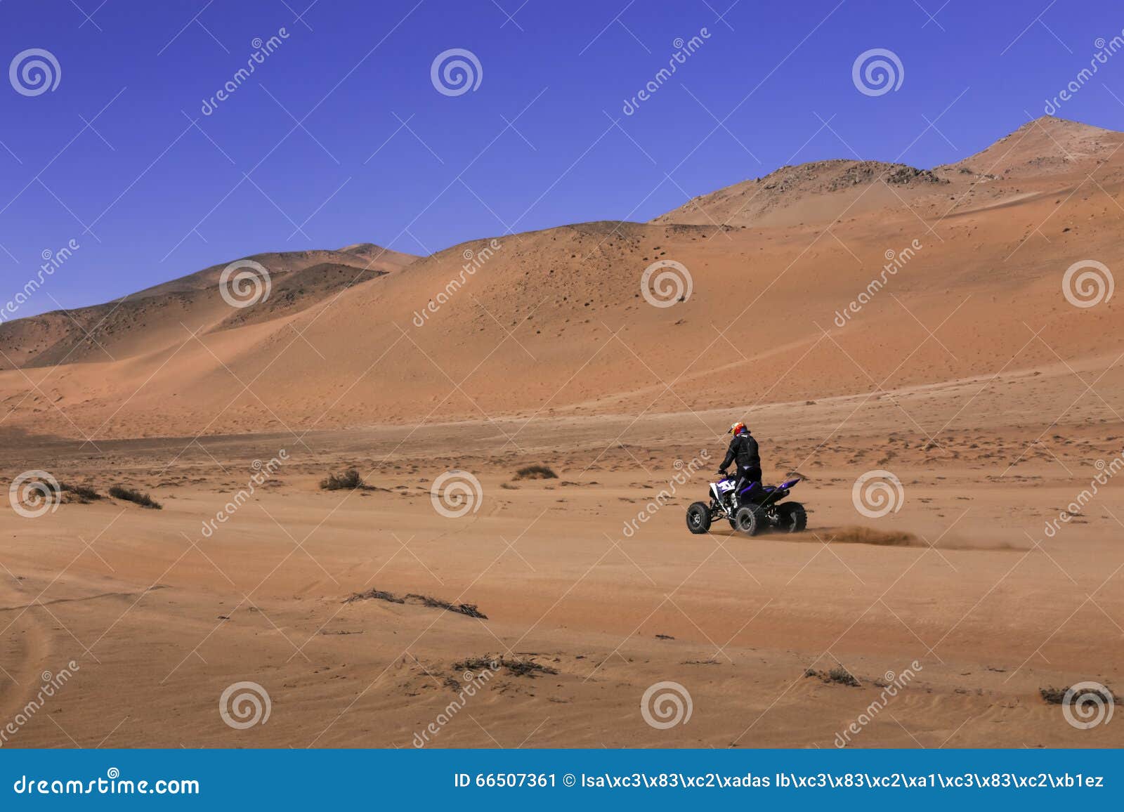 Quad Racing in the Desert II Stock Image Image of motorsport, engine