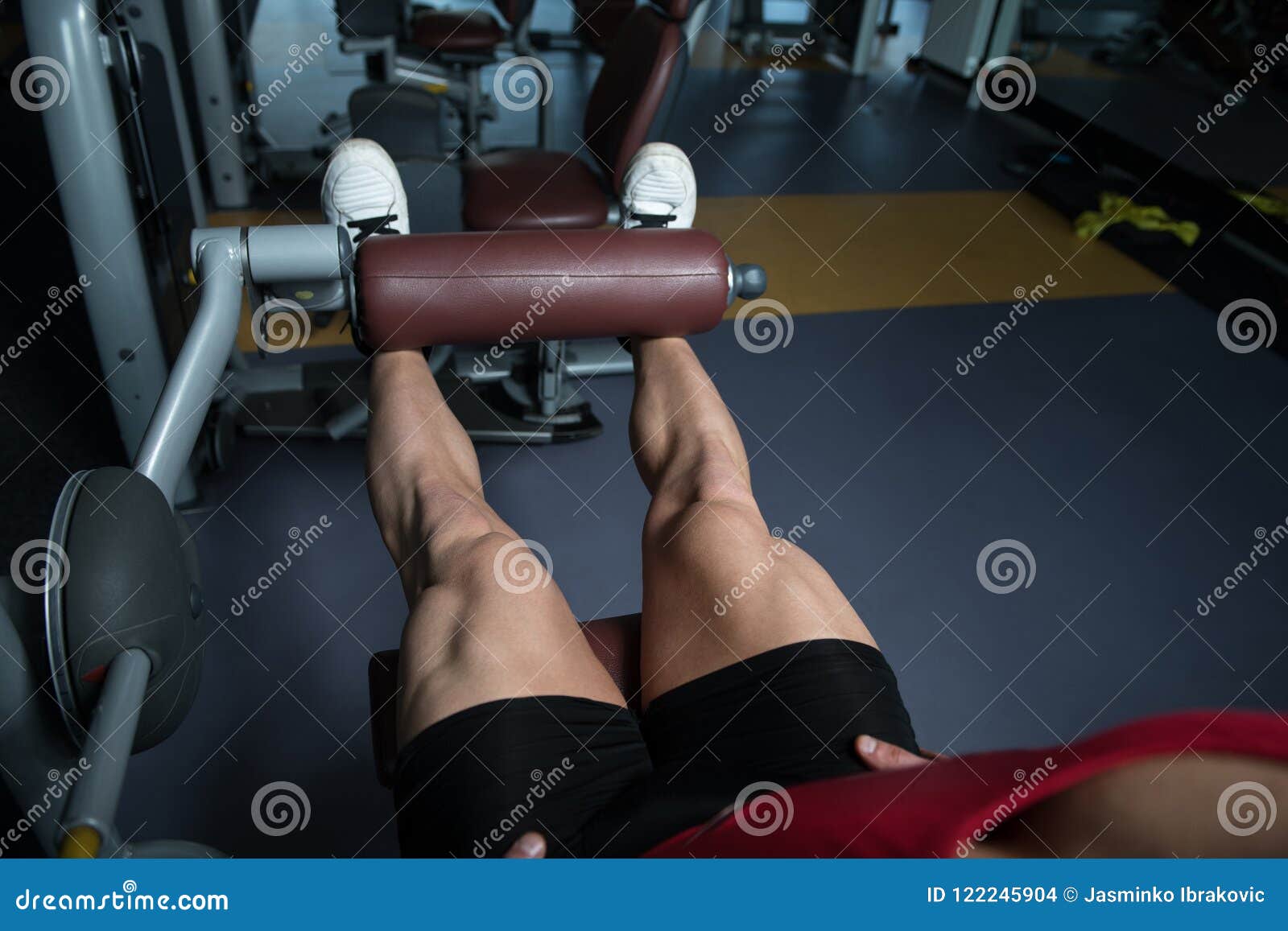 Quadriceps Exercises in Gym Stock Photo Image of effort, athlete
