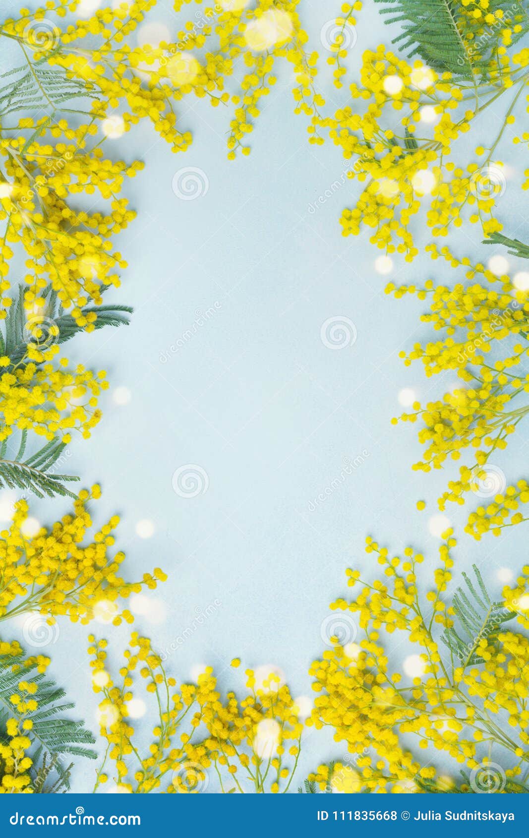 Quadro Amarelo Da Flor Da Mimosa Cartão Da Mola Para O Dia Ou a Páscoa De  Mães Foto de Stock - Imagem de brilho, acima: 111835668