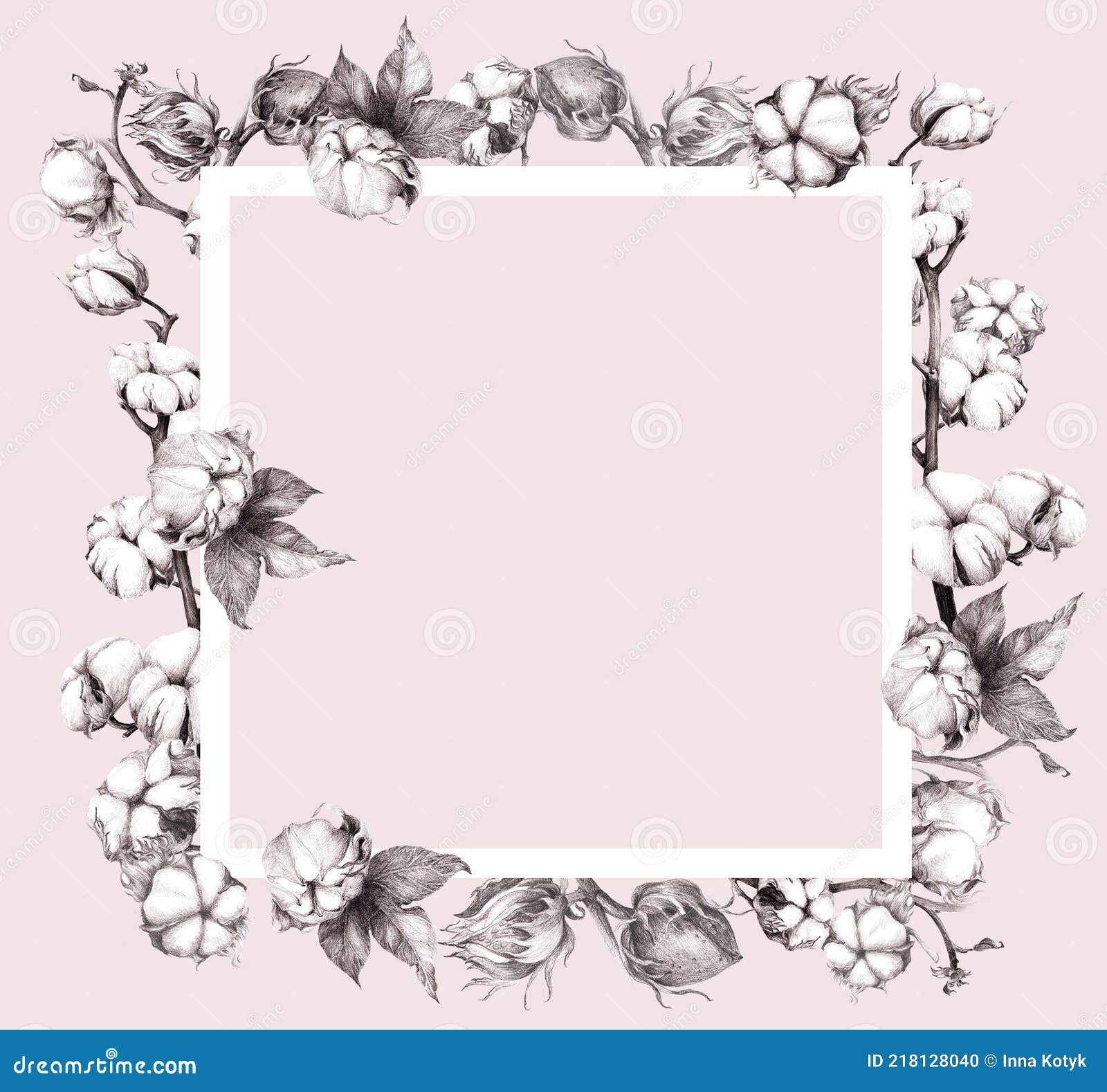 Quadro De Peões Sobre Fundo Branco. Flor Rosa De Pedônia Com Folhas.  Ilustração Stock - Ilustração de peônias, desenho: 240391312