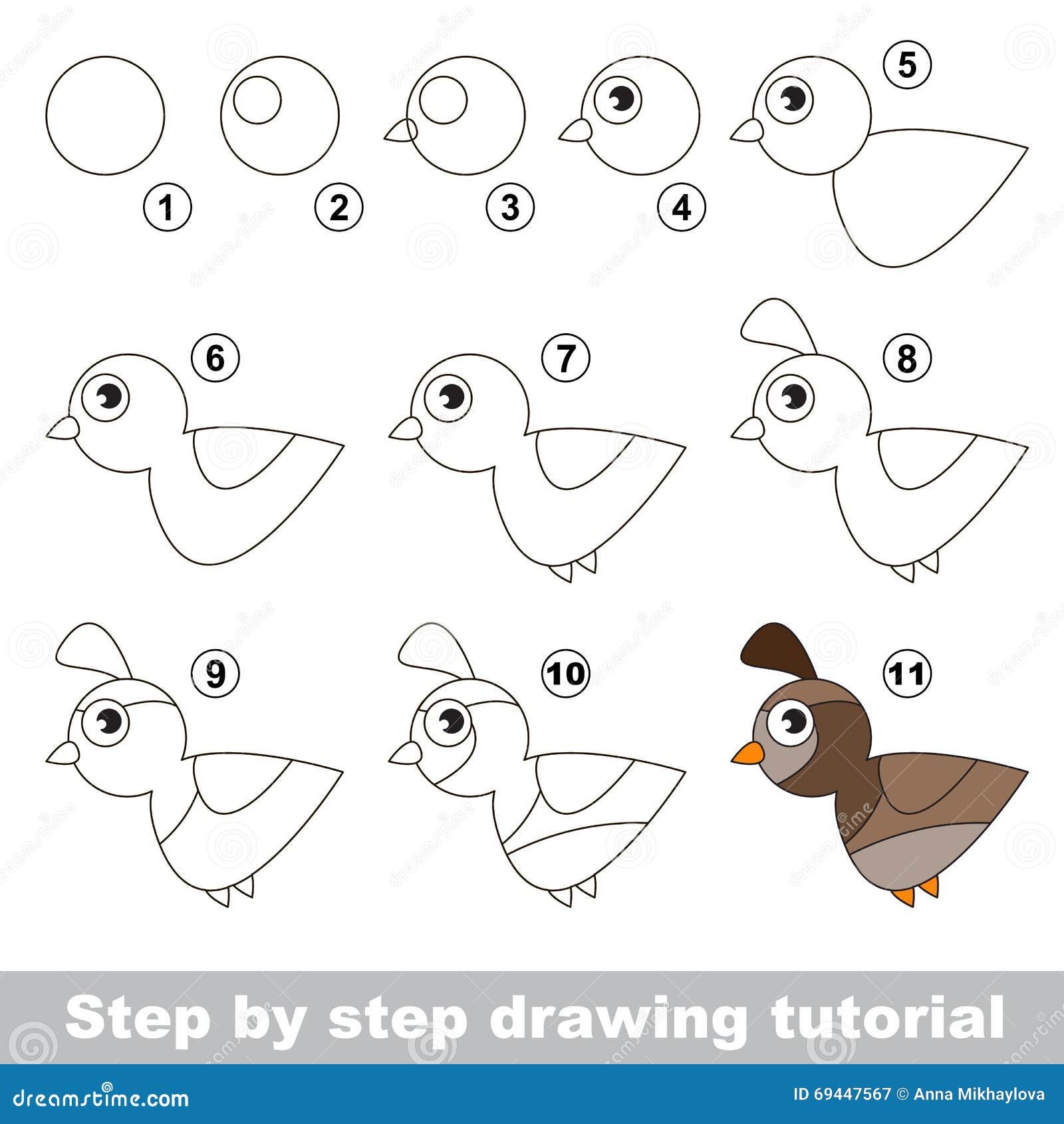 Quail. Drawing tutorial. stock vector. Image of illustration - 69447567