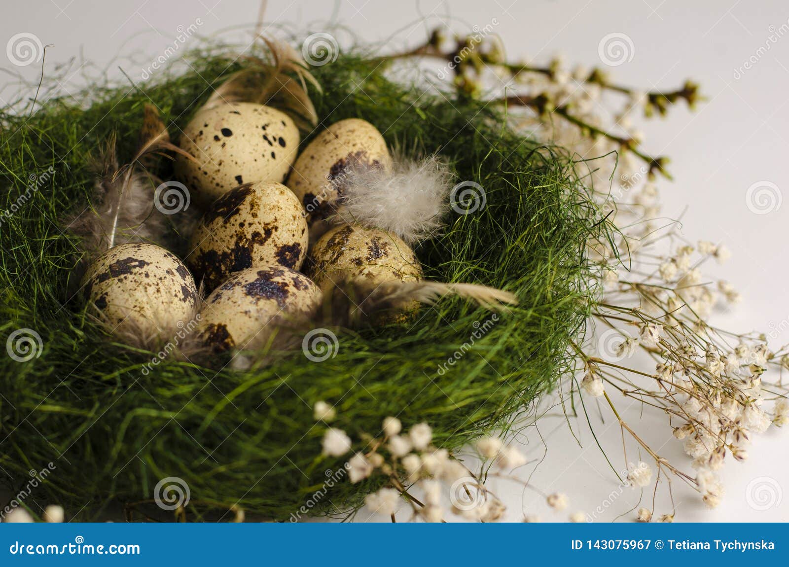 Quail Easter Eggs in a Green Nest. Stock Image Image of decoration