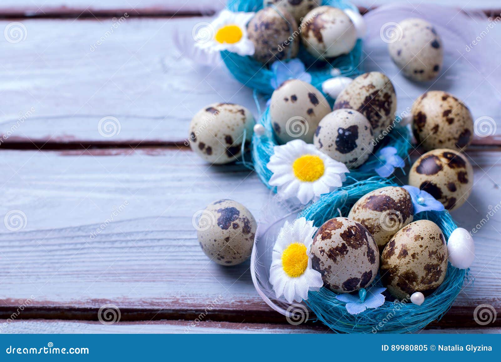 Quail easter eggs stock image. Image of decoration, nest 89980805