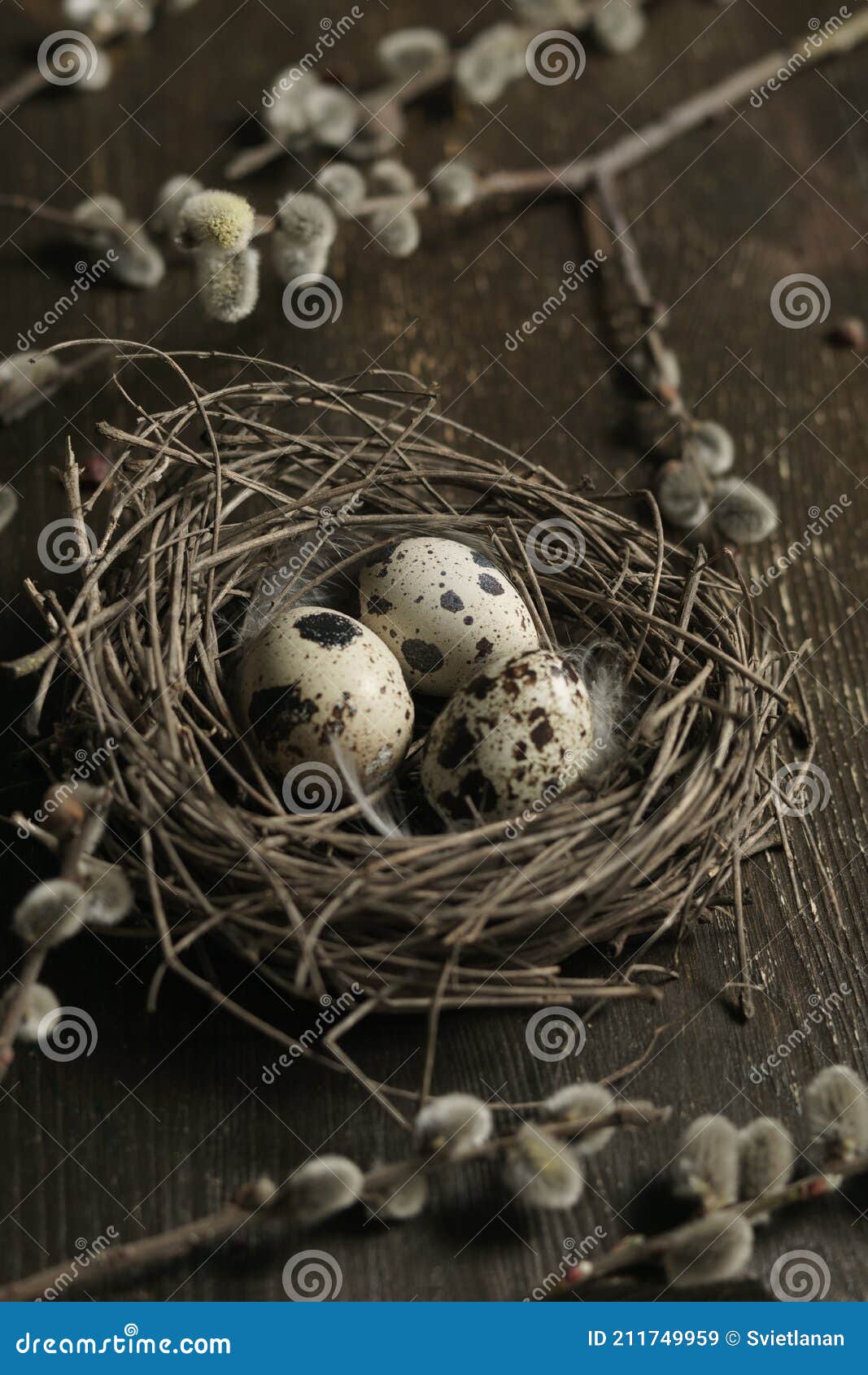 Quail Easter Eggs in Nest with Willow Branches on Rustic Wood Table