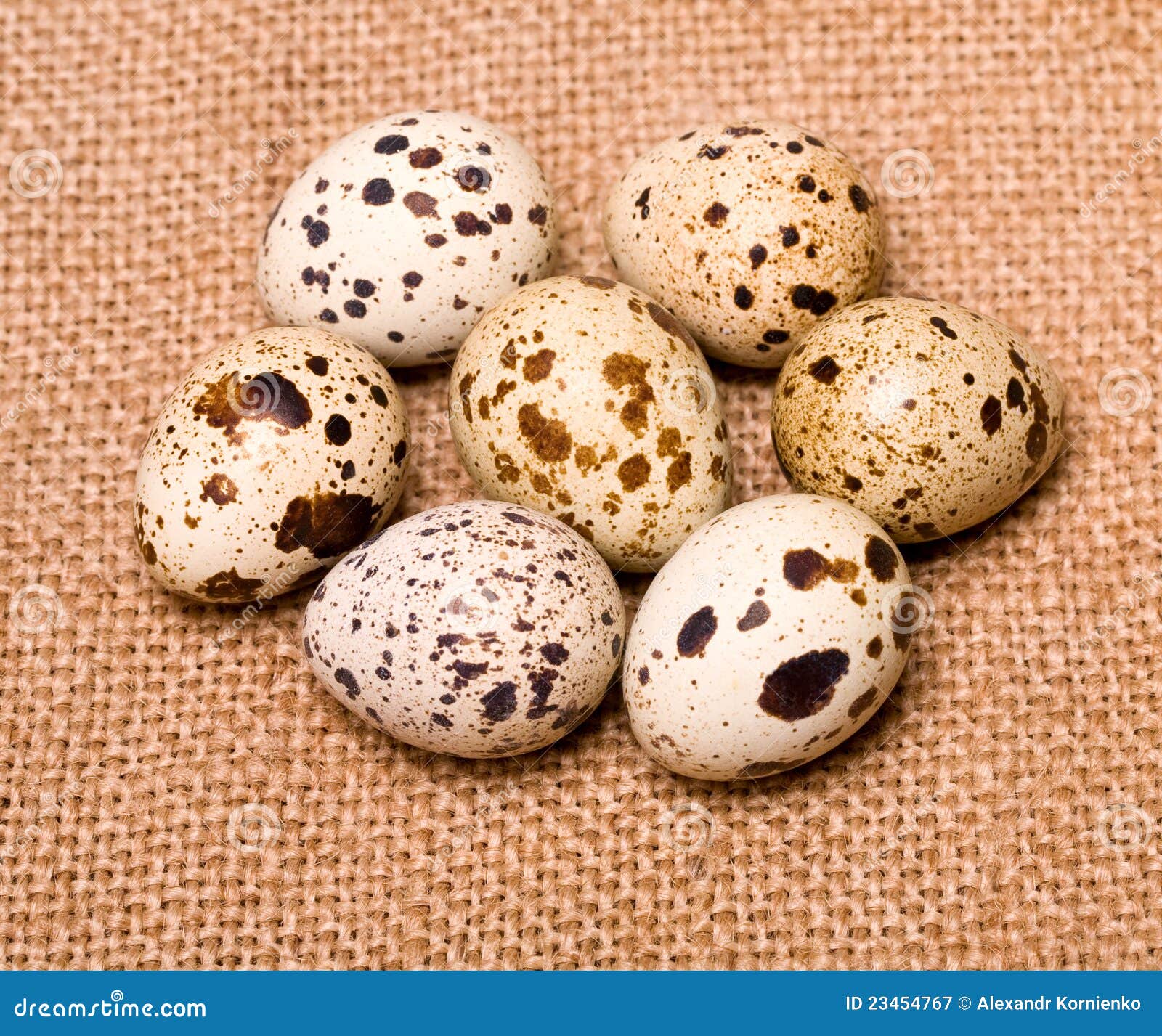 bobwhite quail eggs