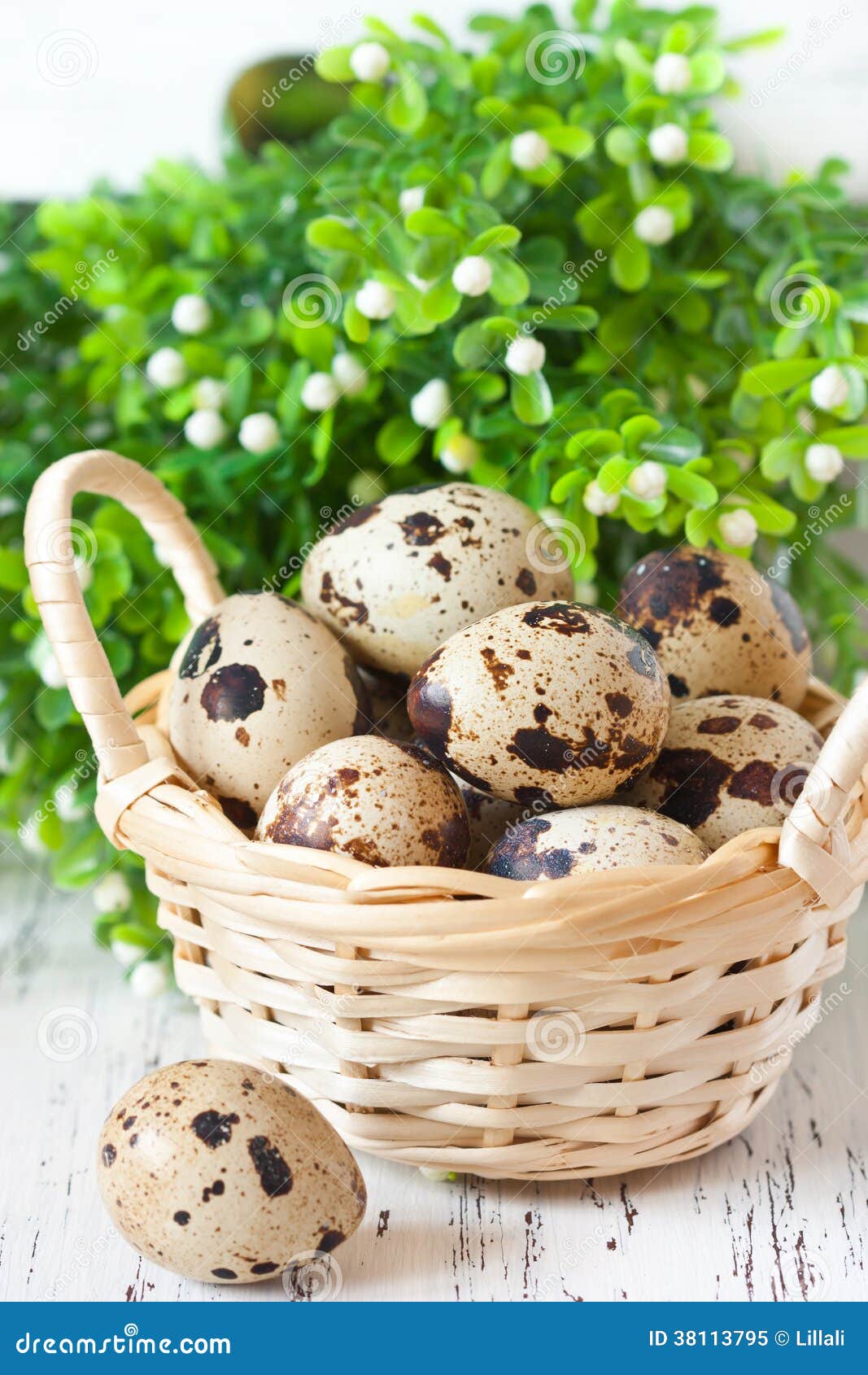 Quail egg. stock image. Image of diet, ingredient, eating 38113795