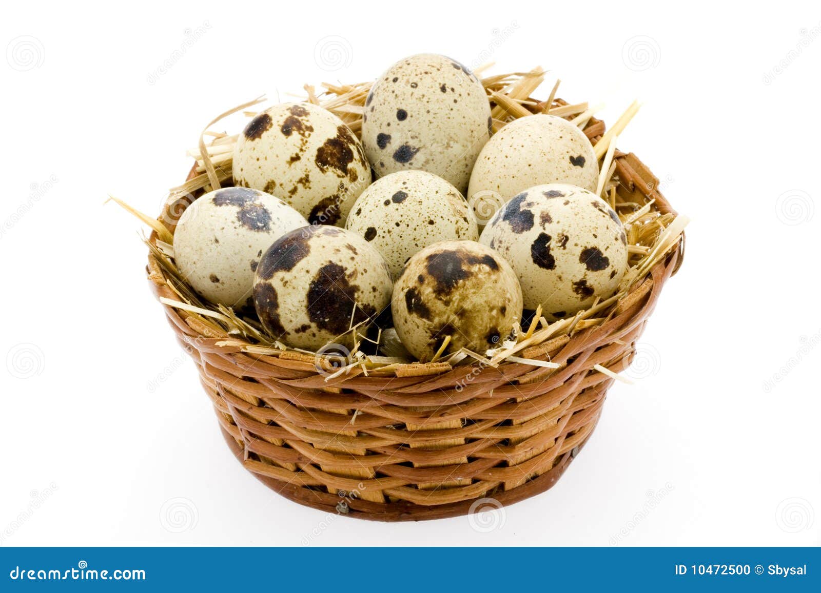 Quail Egg basket stock photo. Image of protein, cholesterol 10472500