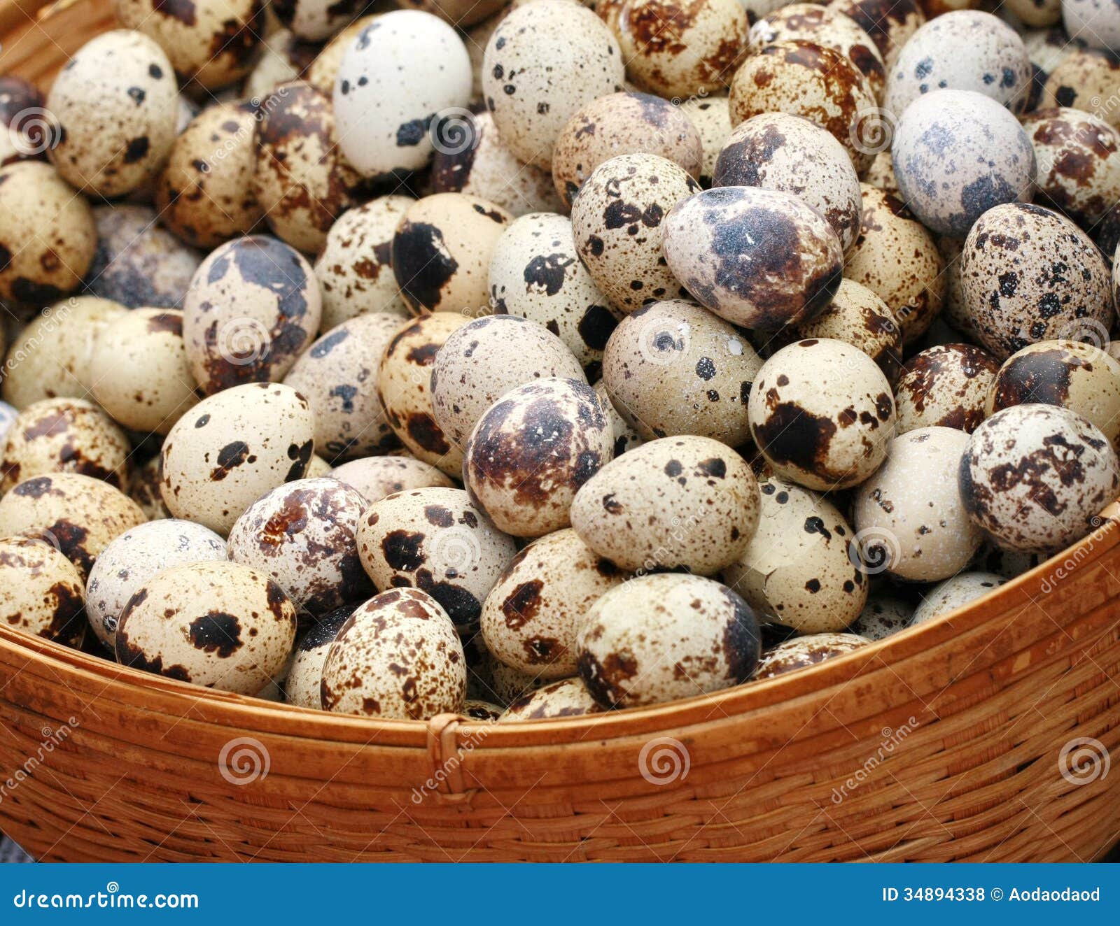 Quail eggs stock photo. Image of group, feathers, fragile 34894338