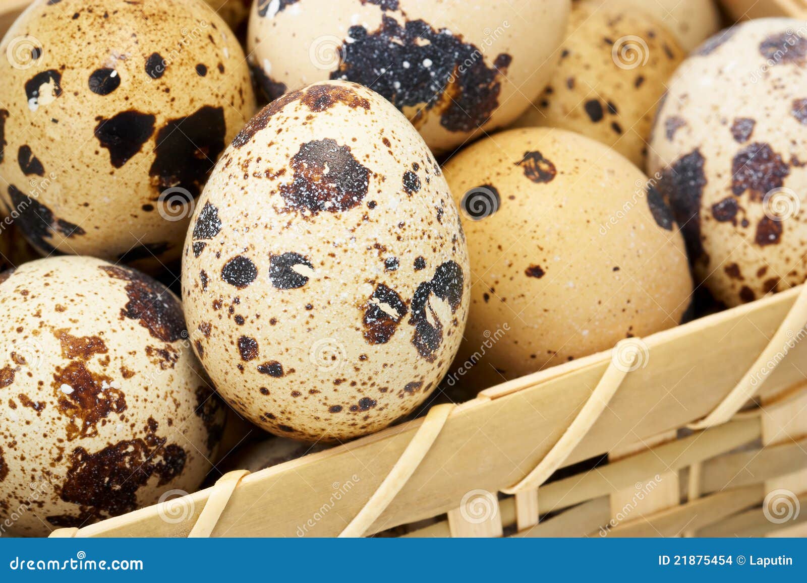 Quail eggs in basket stock photo. Image of breakfast 21875454