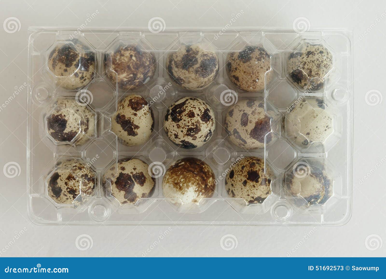 Quail eggs box pack stock image. Image of kitten, ground 51692573