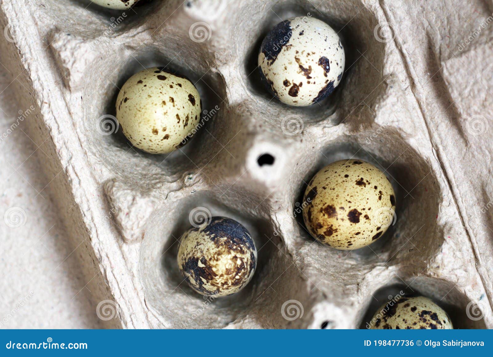 Quail Eggs in a Cardboard Box Stock Photo Image of basket, heap