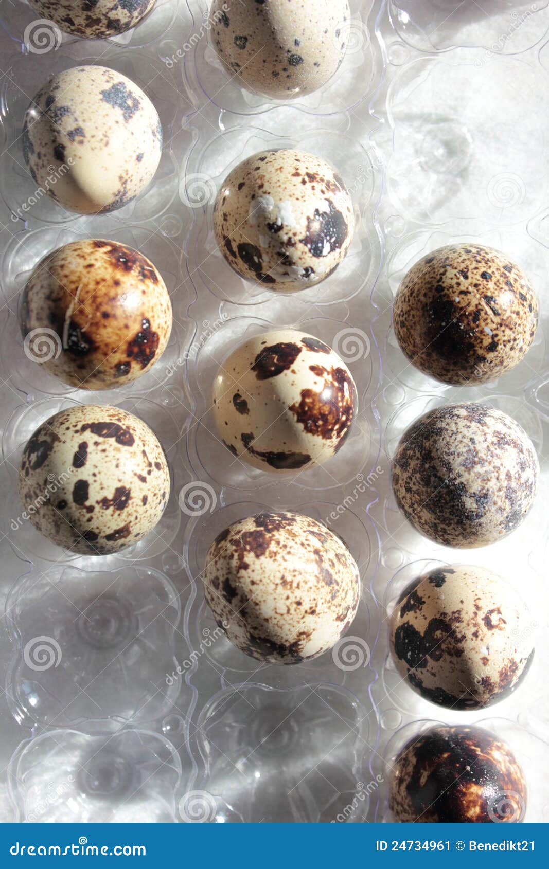 Quail eggs in the carton stock image. Image of breakfast 24734961