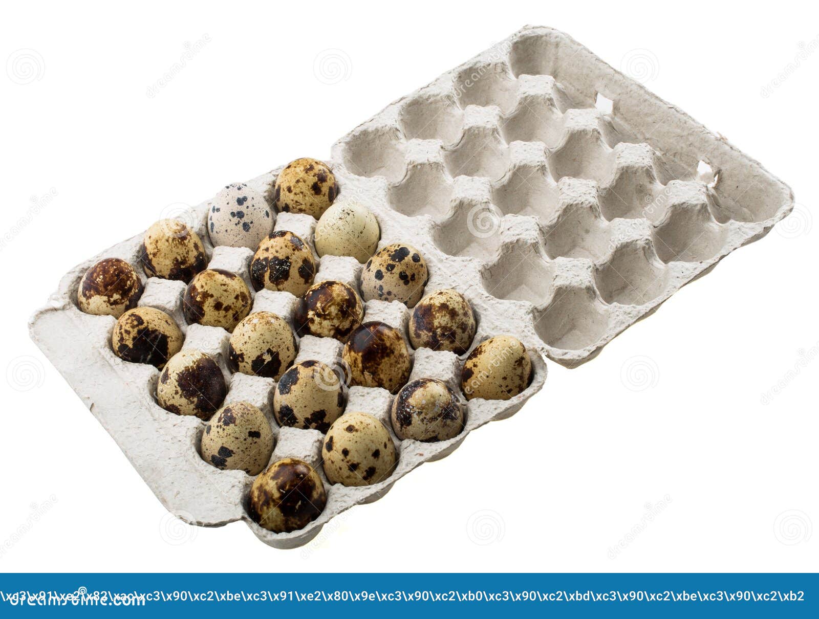 Quail eggs in carton box stock image. Image of breakfast 38140639