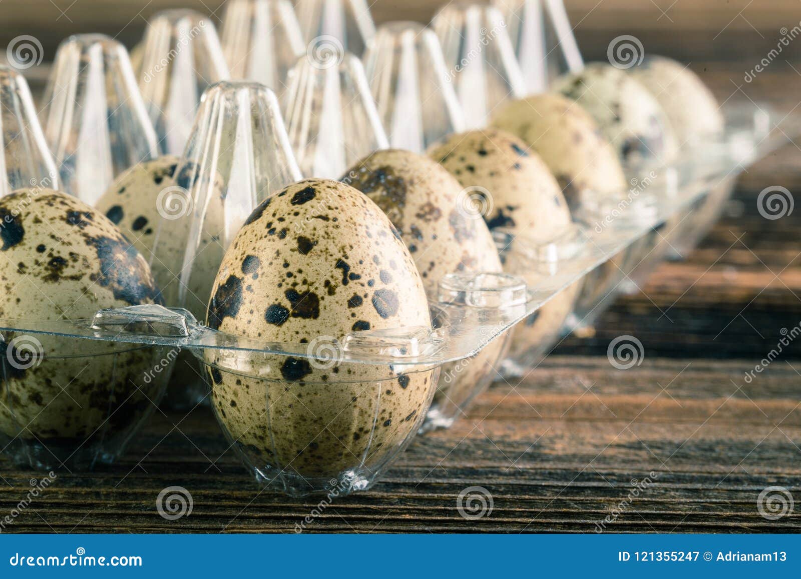 Quail Eggs In The Container Stock Image Image of farm, eggshell