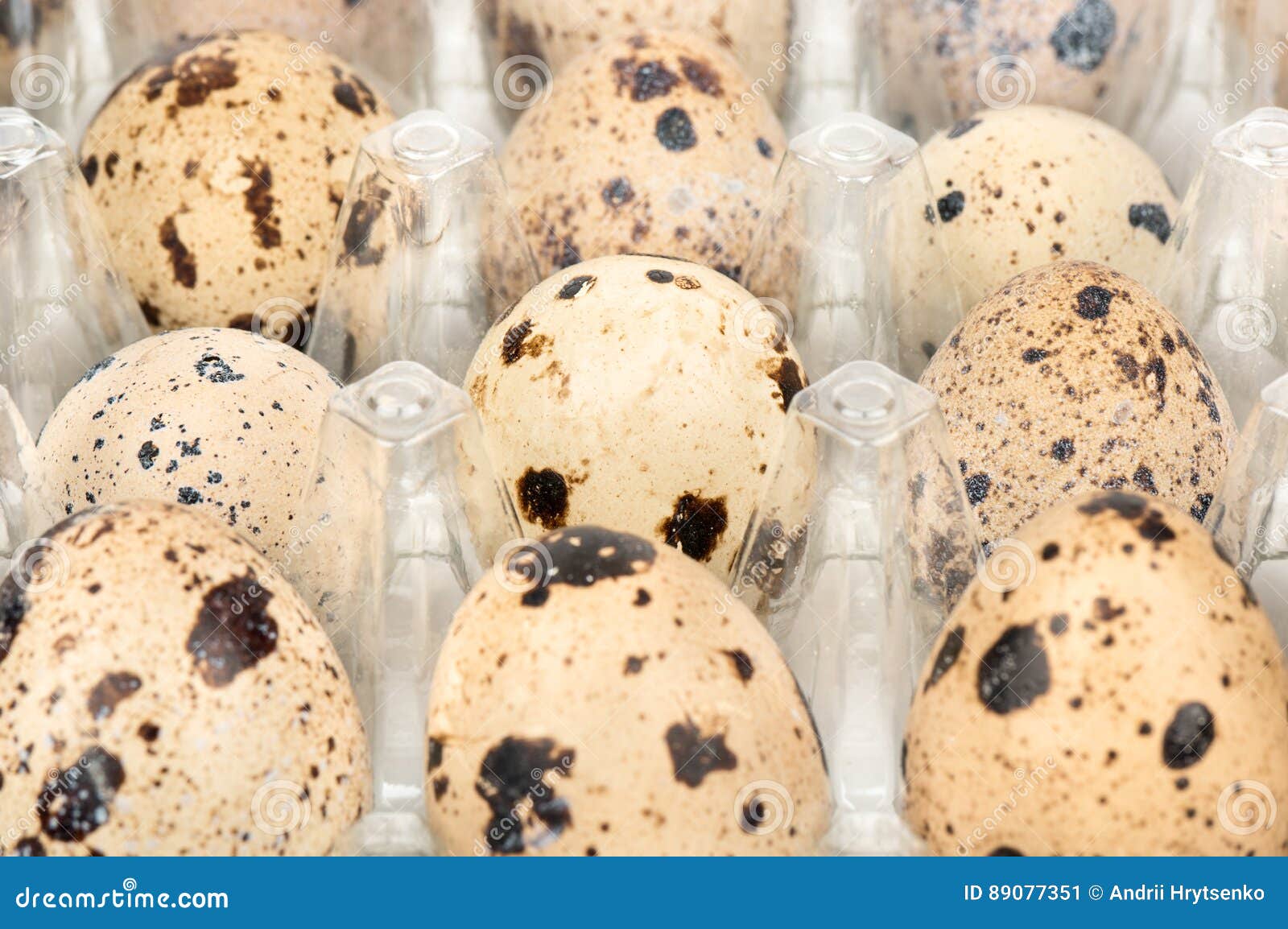 Quail Eggs in the Container Stock Image Image of beige, group 89077351
