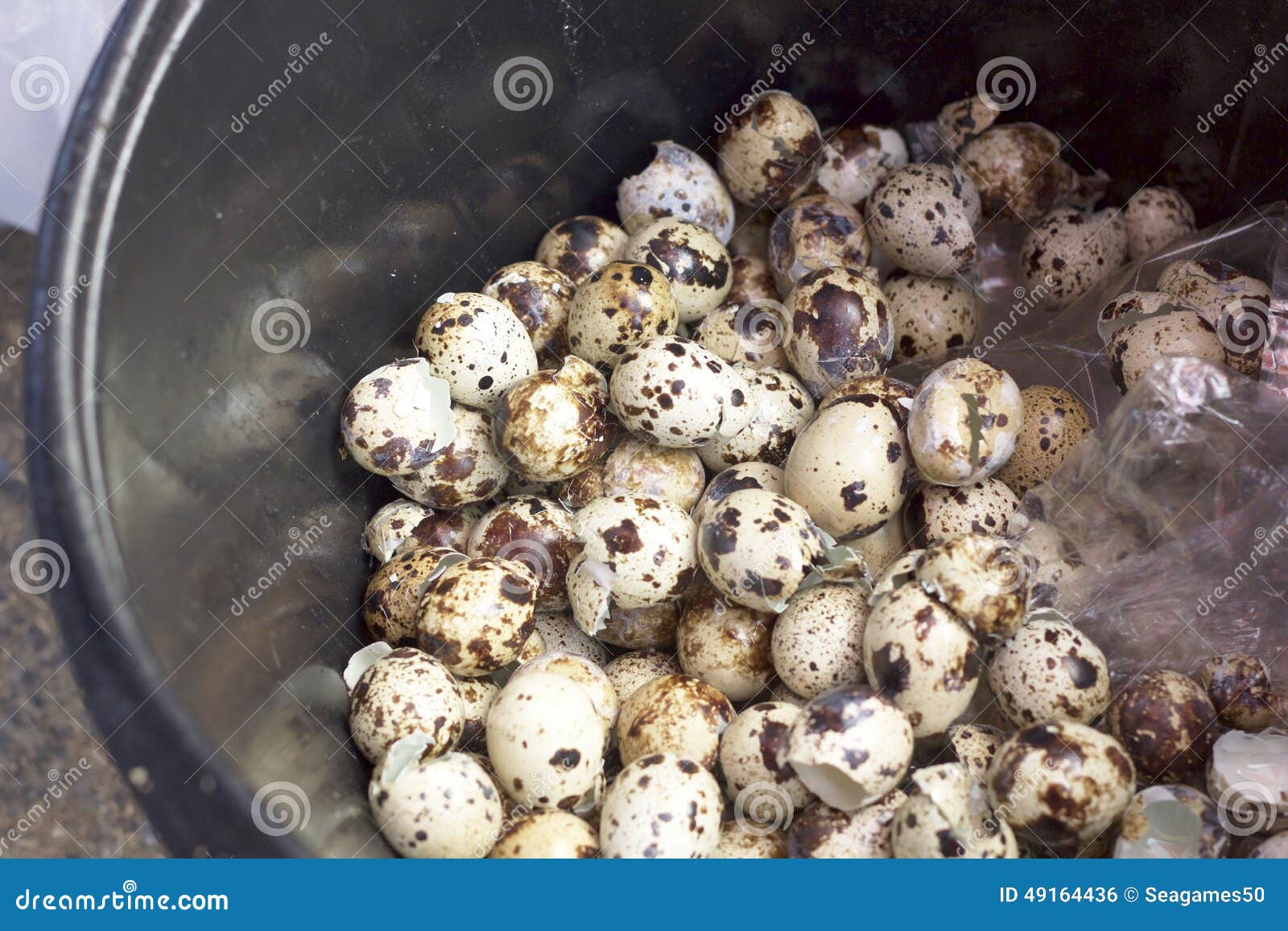Quail eggs peel stock photo. Image of yellow, eggs, healthy 49164436