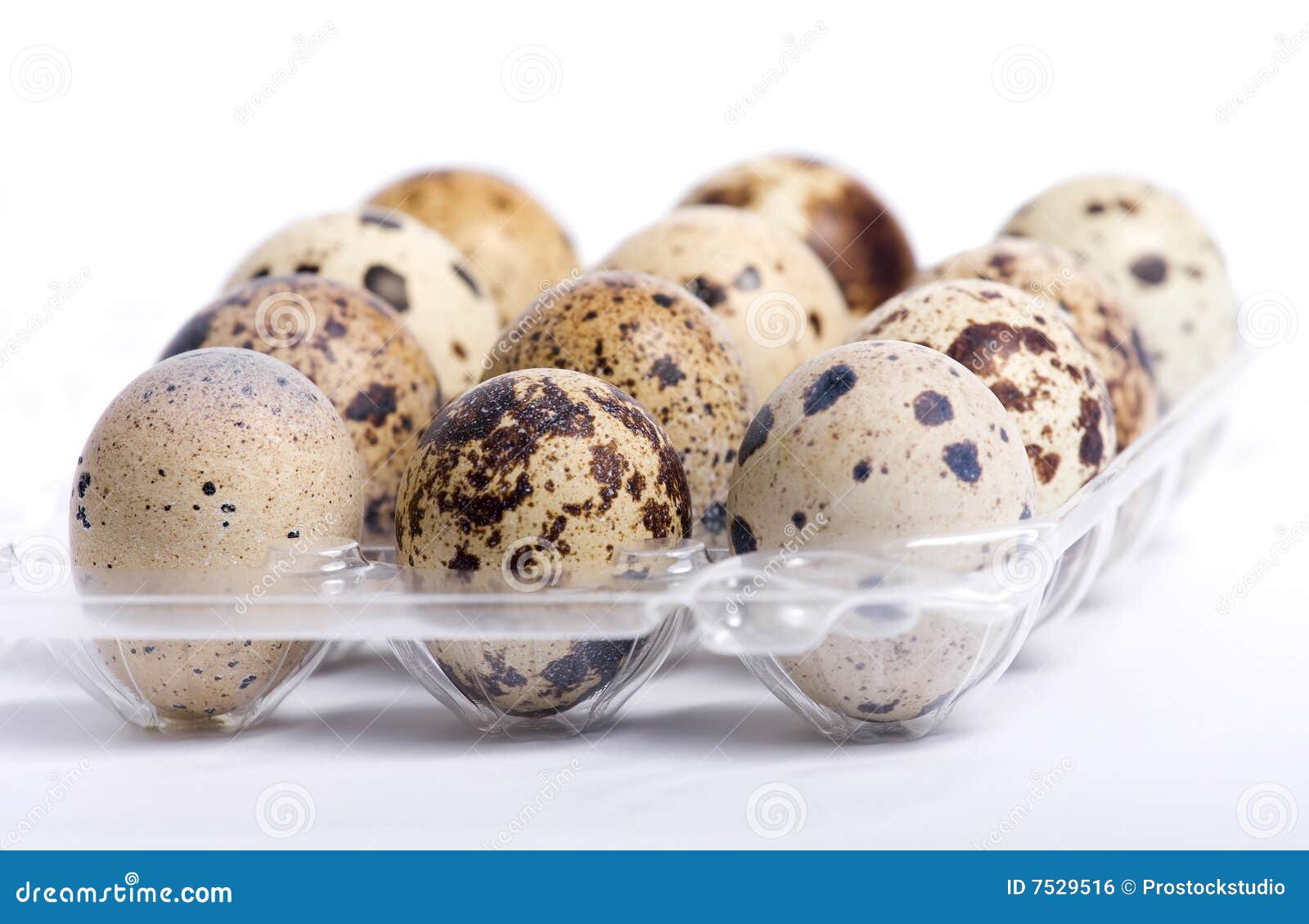 Quail Eggs in the Plastic Box Stock Photo Image of healthy, food 7529516
