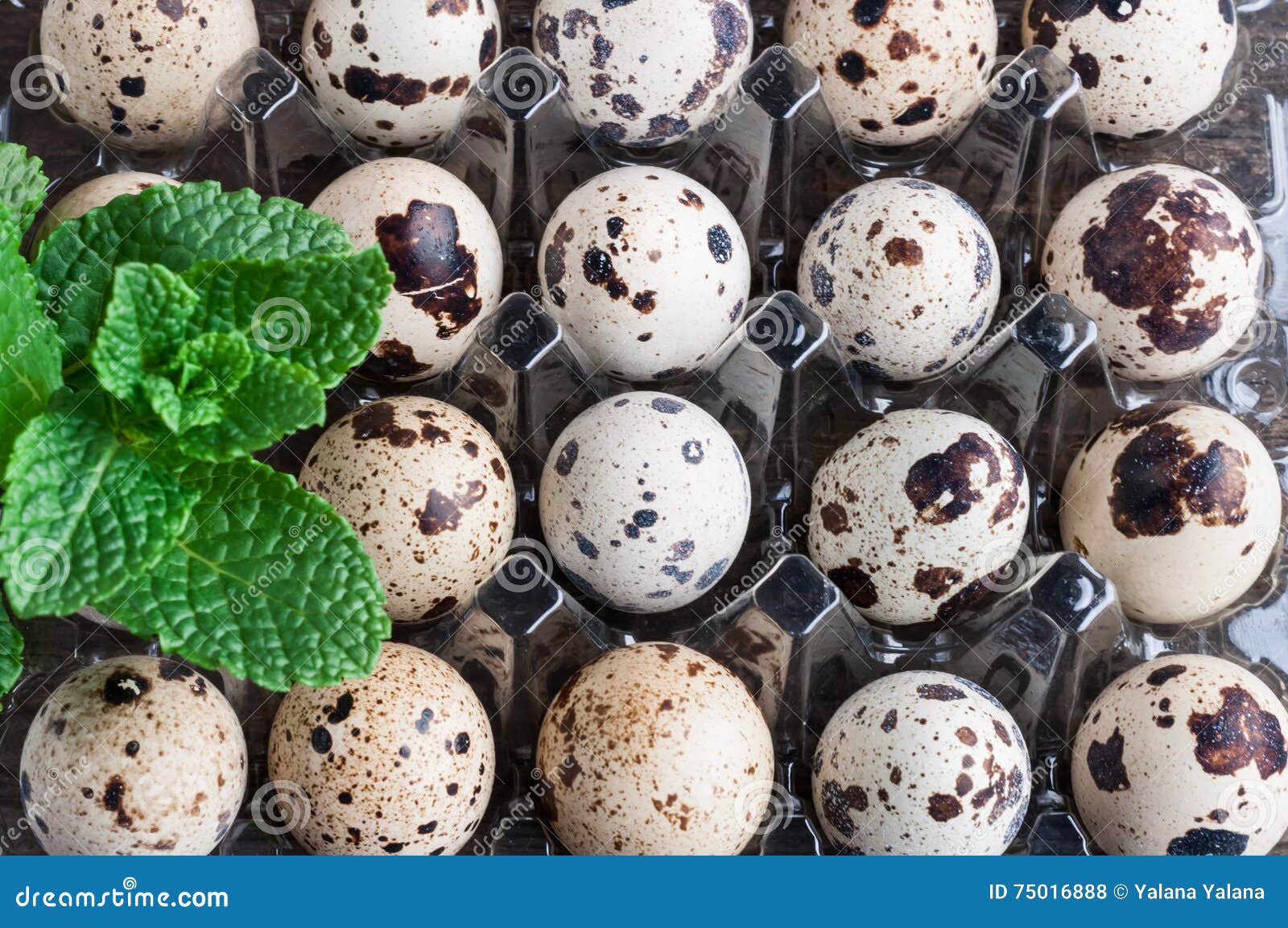 Quail Eggs in Plastic Container Stock Photo Image of albumen