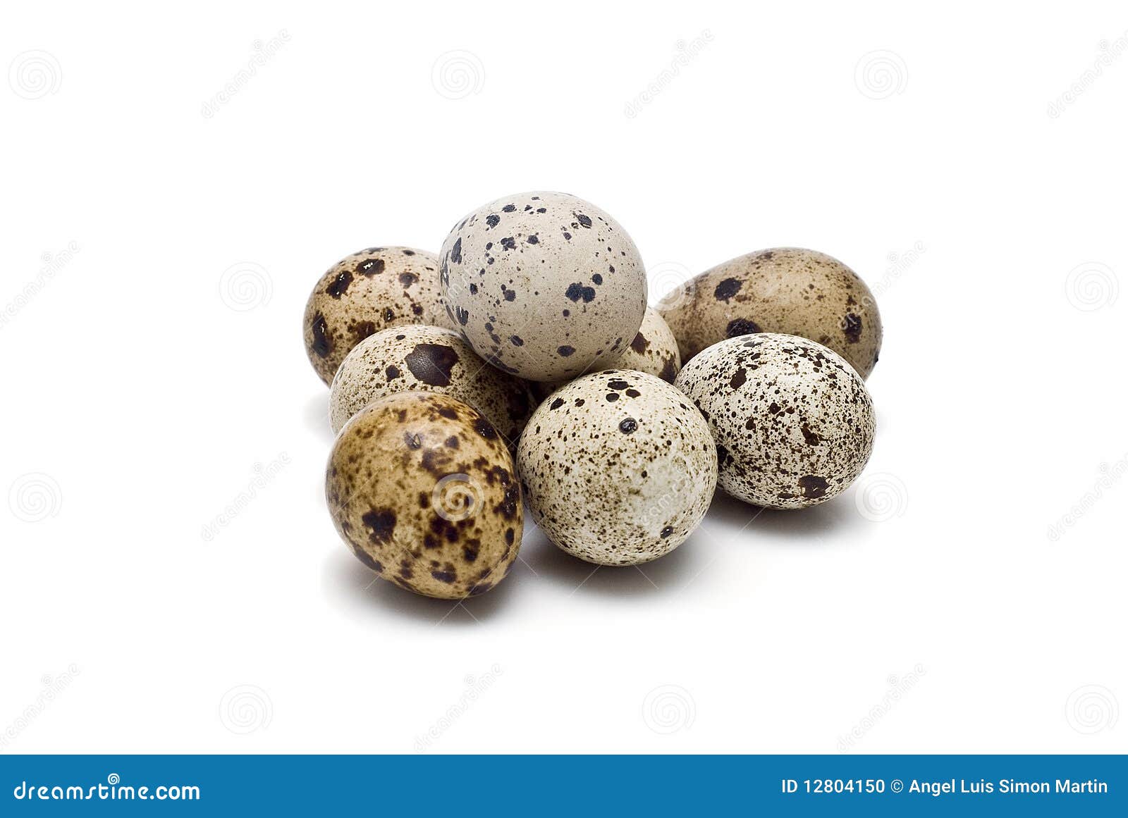 Quail fresh eggs. stock photo. Image of black, business 12804150