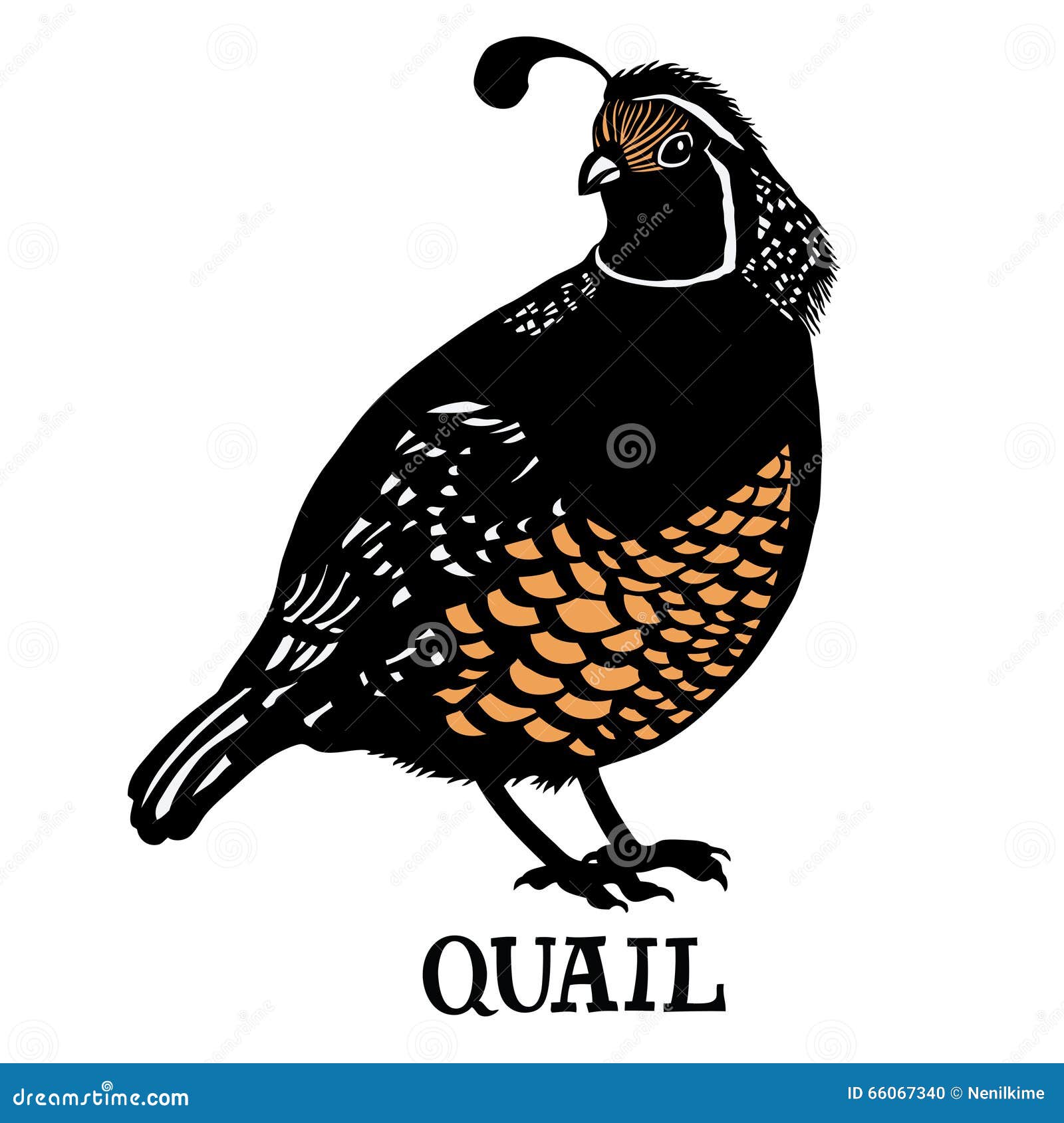 quail silhouette clip art