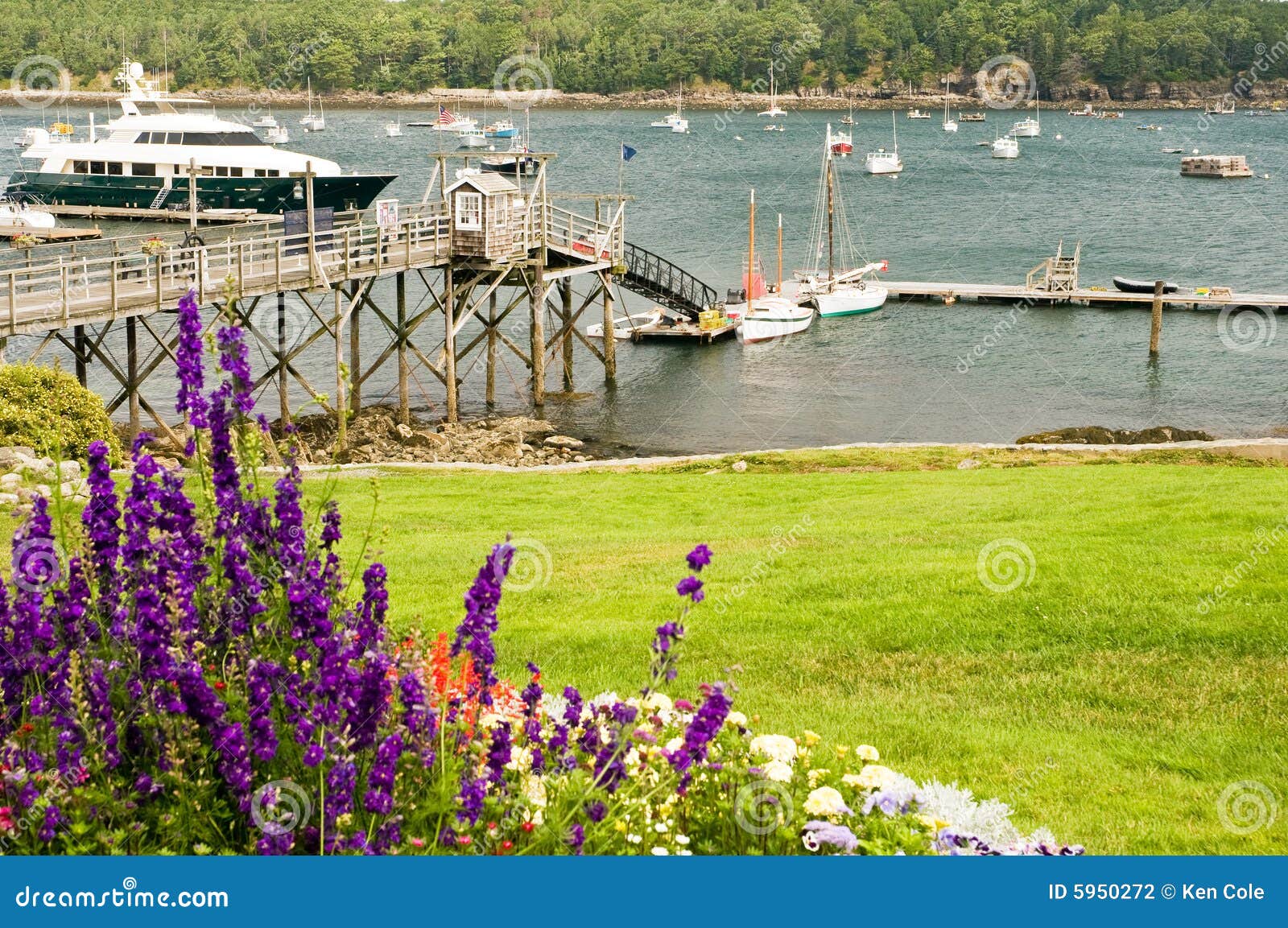 Quaint New England harbor stock photo. Image of coastal 5950272
