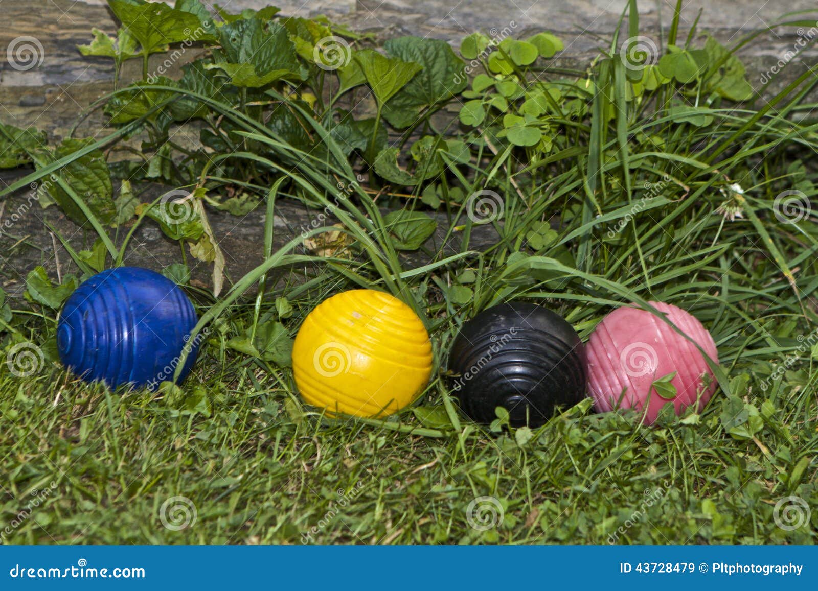 Quatre boules de croquet image stock. Image du alongside 43728479