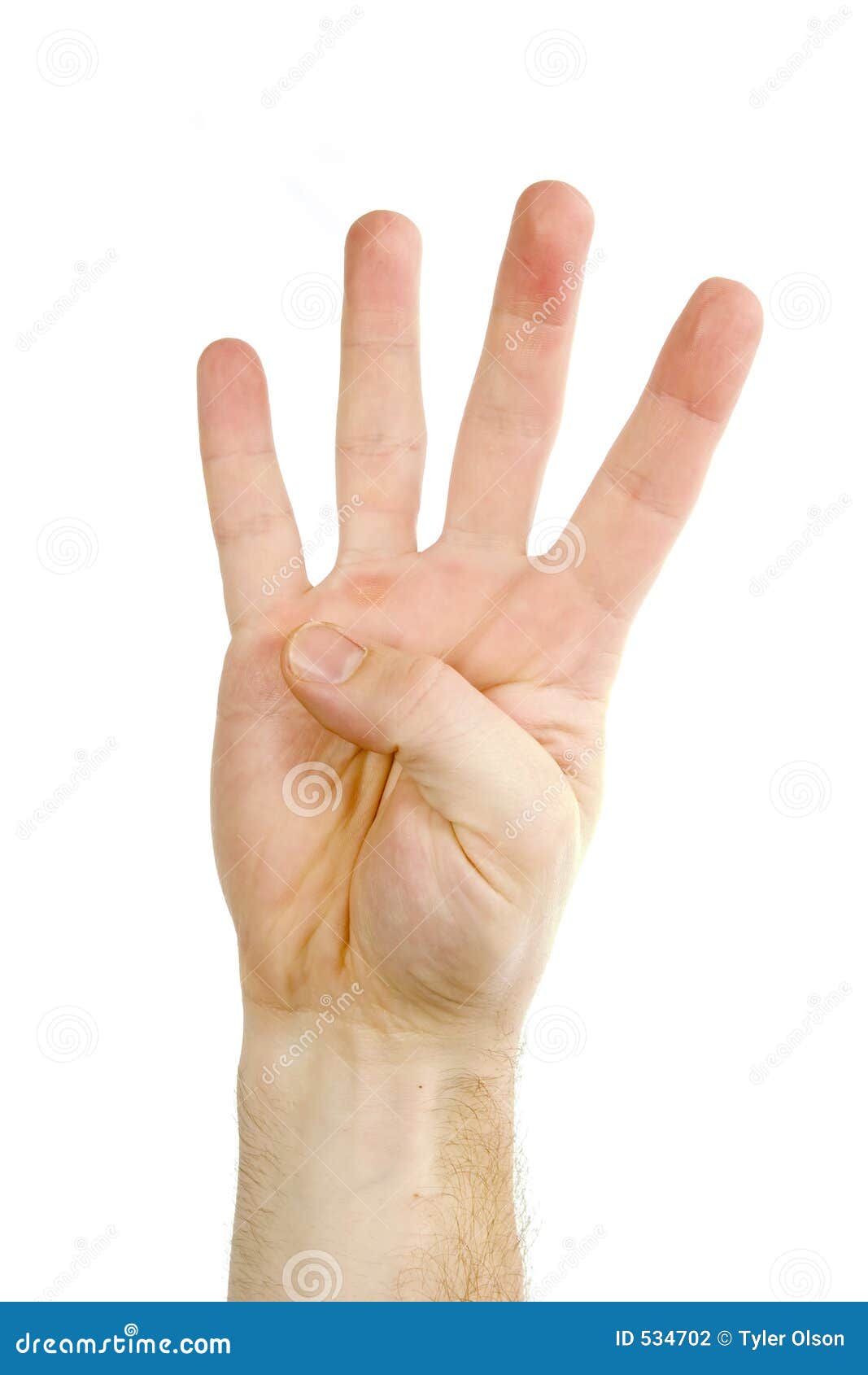 Quatre doigts ont isolé photo stock. Image du doigts, homme - 534702