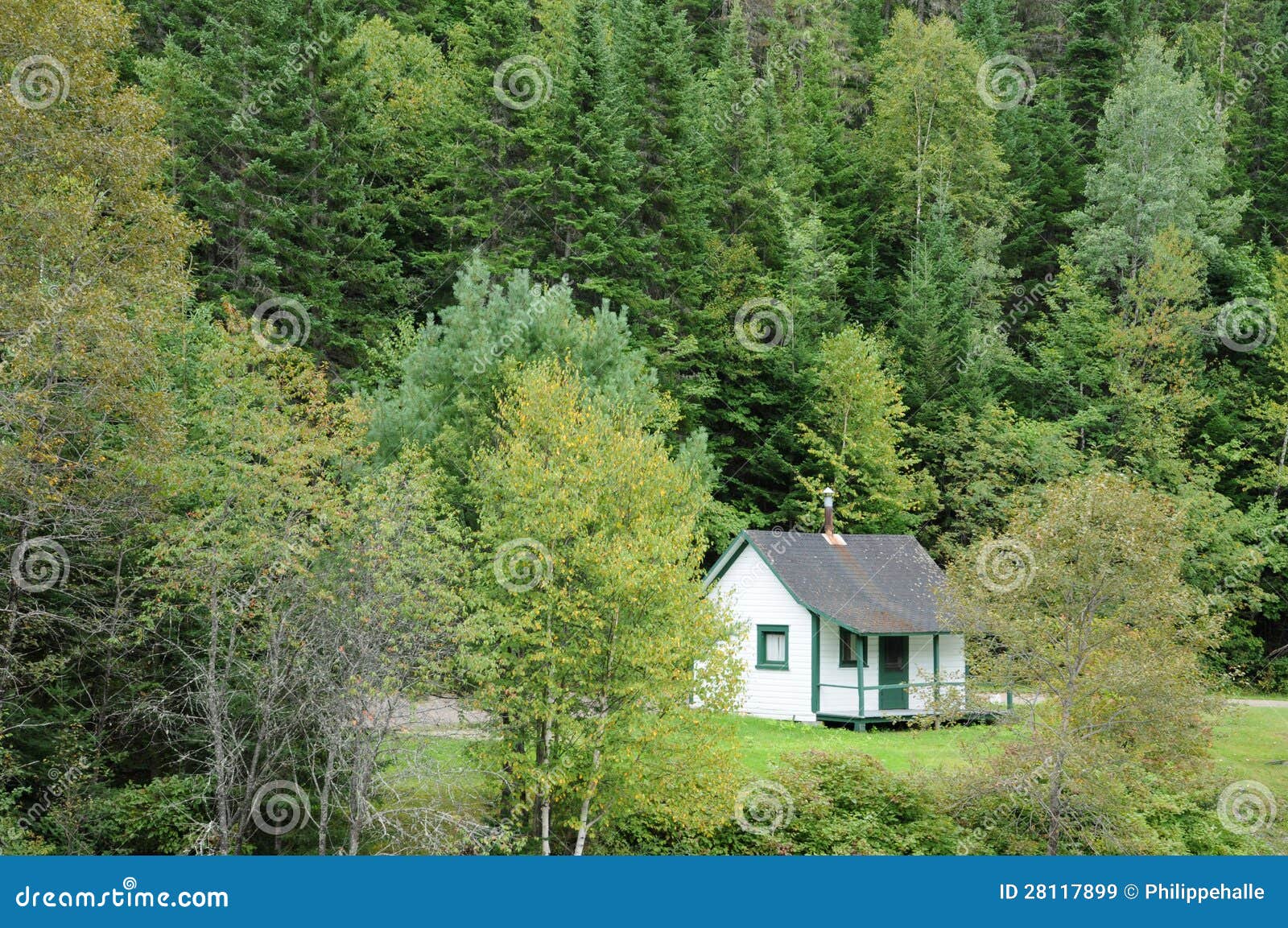 Quebec, Old House in Matapedia Forest in Gaspesie Stock Image Image of nature, touristy 28117899