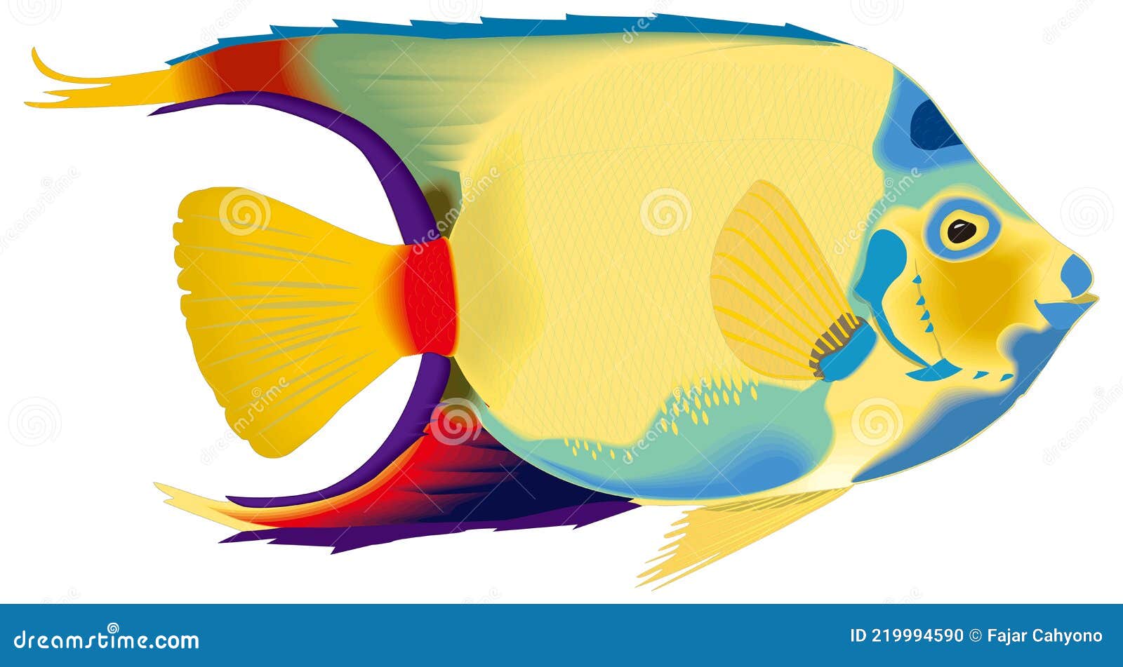 Queen Angel Fish Vector Illustration Transparent Background Stock Illustration - Illustration of swimming, wing: 219994590 Queen Angel Fish Vector Illustration Transparent Background Stock Illustration - Illustration of swimming, wing: 219994590