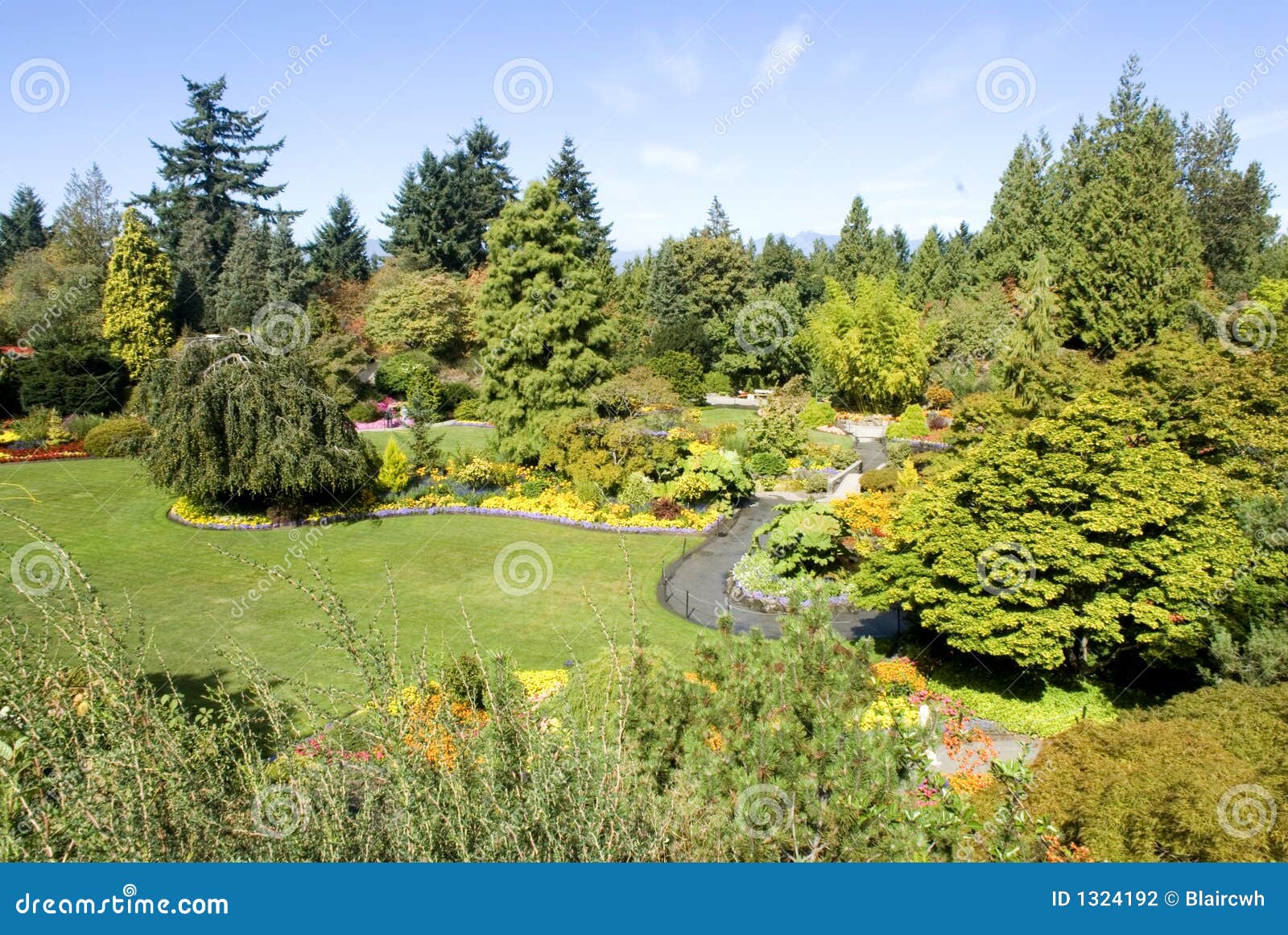 Queen Elizabeth Park, Vancouver, BC Stock Photo Image of trees