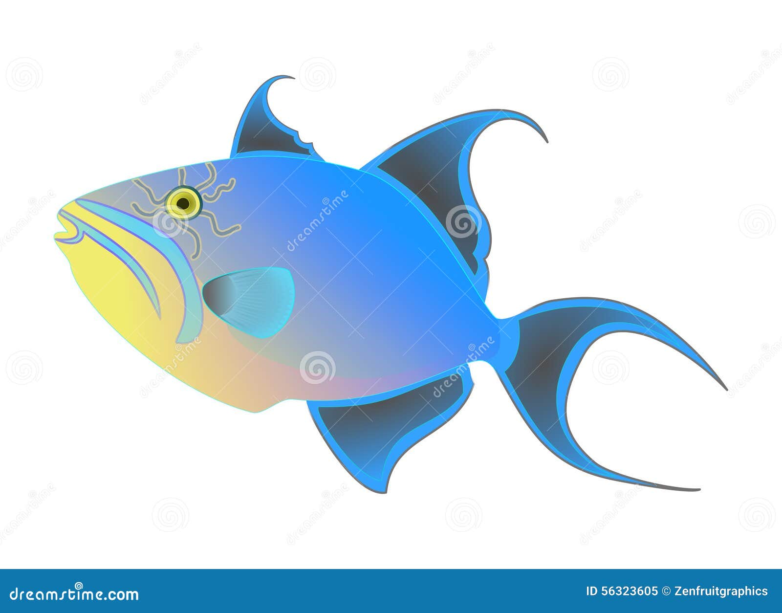 Queen Triggerfish Vector. Colorful Exotic Tropical Fish Isolated on White Background. Ocean Animal, Funny Sea Life Cartoon Stock Vector - Illustration of ocean, balistes: 56323605 Queen Triggerfish Vector. Colorful Exotic Tropical Fish Isolated on White Background. Ocean Animal, Funny Sea Life Cartoon Stock Vector - Illustration of ocean, balistes: 56323605