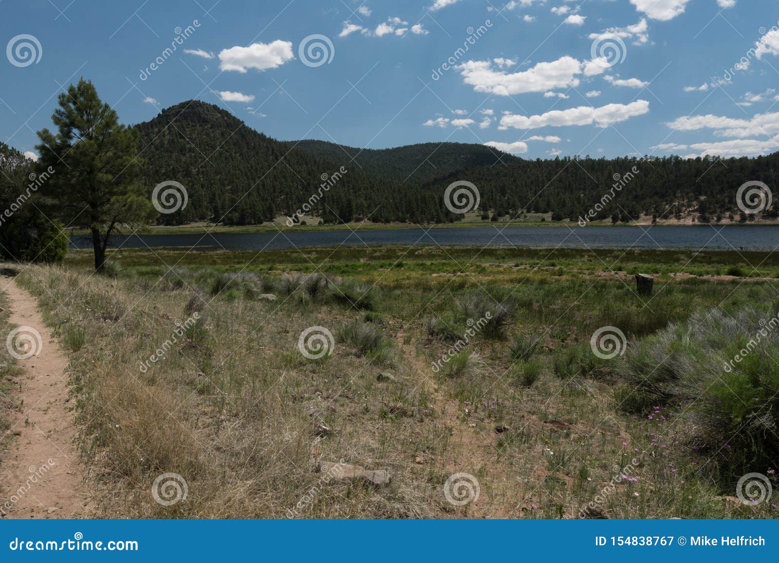 quemado lake hiking trail, new mexico