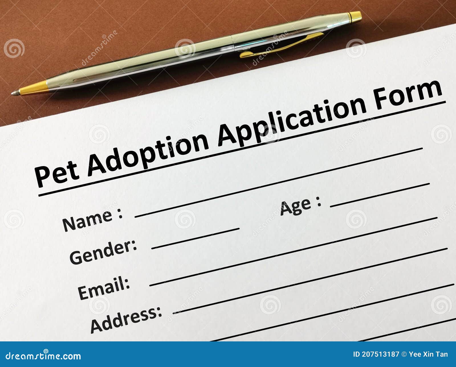 Questionnaire stock image. Image of investigation, personal 207513187