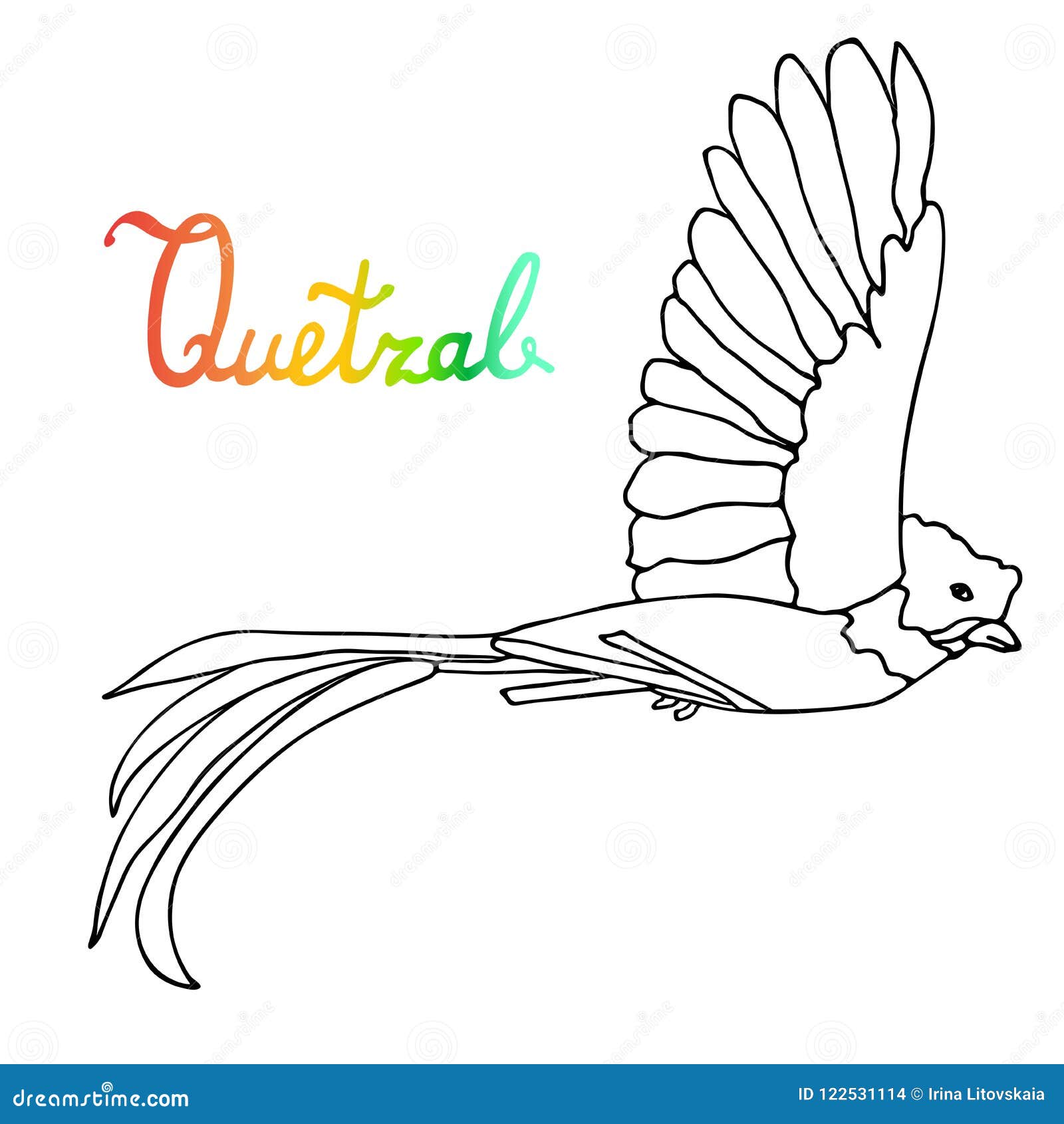 Quetzal Bird Coloring Book Illustration Stock Illustration