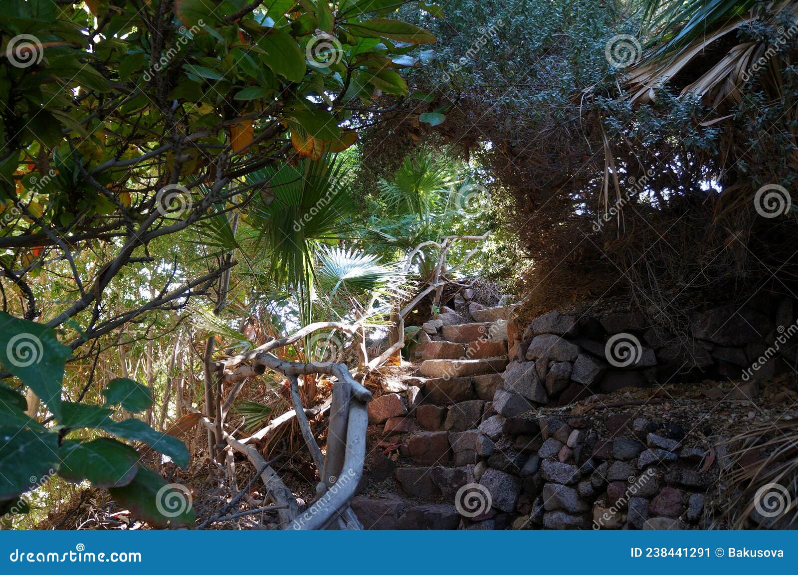 Quiet Corner of a Green Garden with Stairs Stock Image Image of