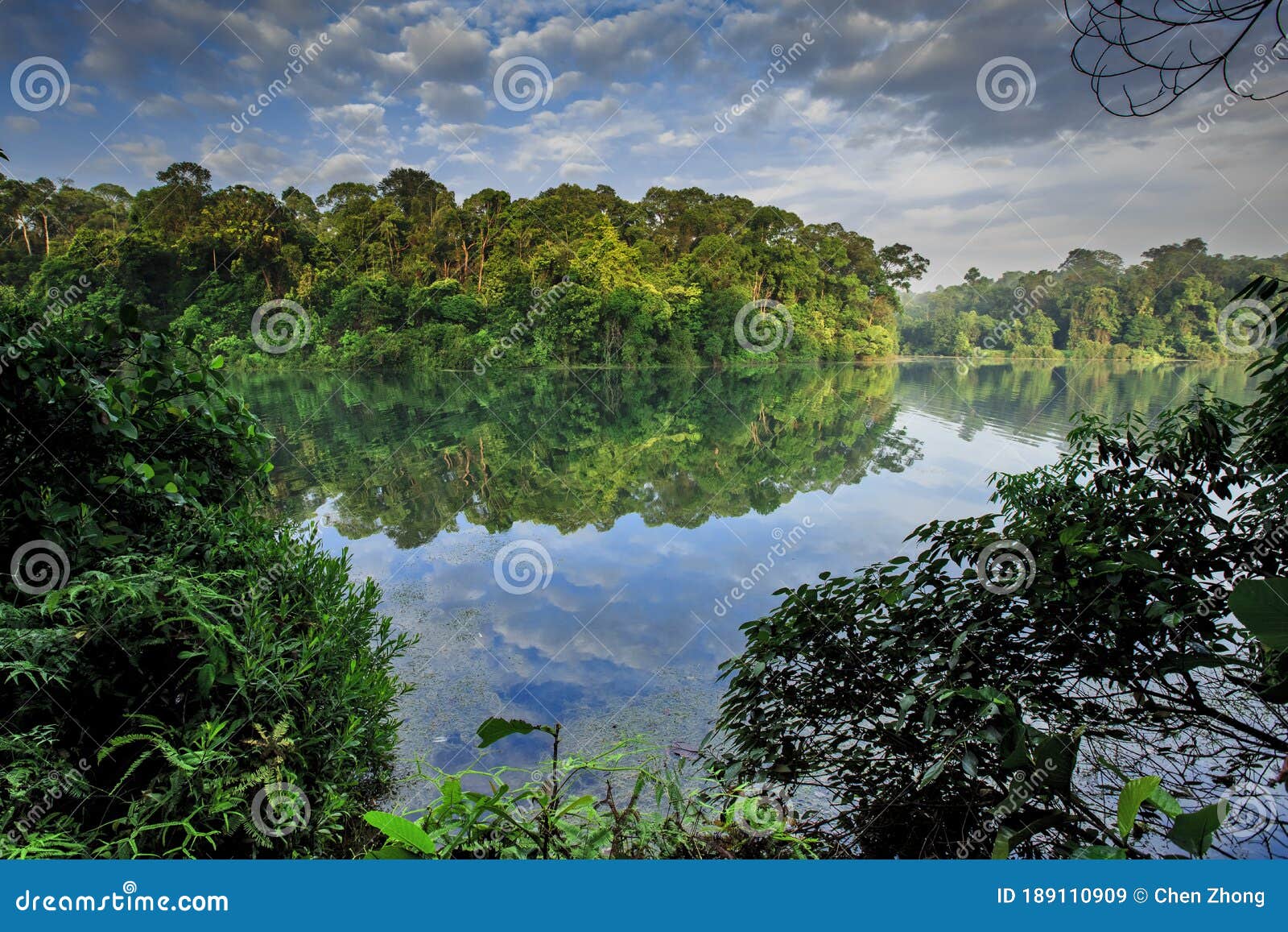 Why This Quiet Corner Feels Like a Hidden World