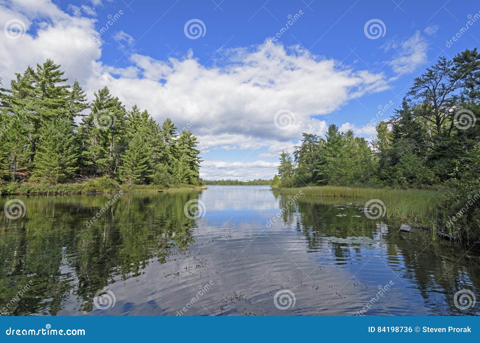 Quiet Cove In Canoe Country Stock Photo - Image of 