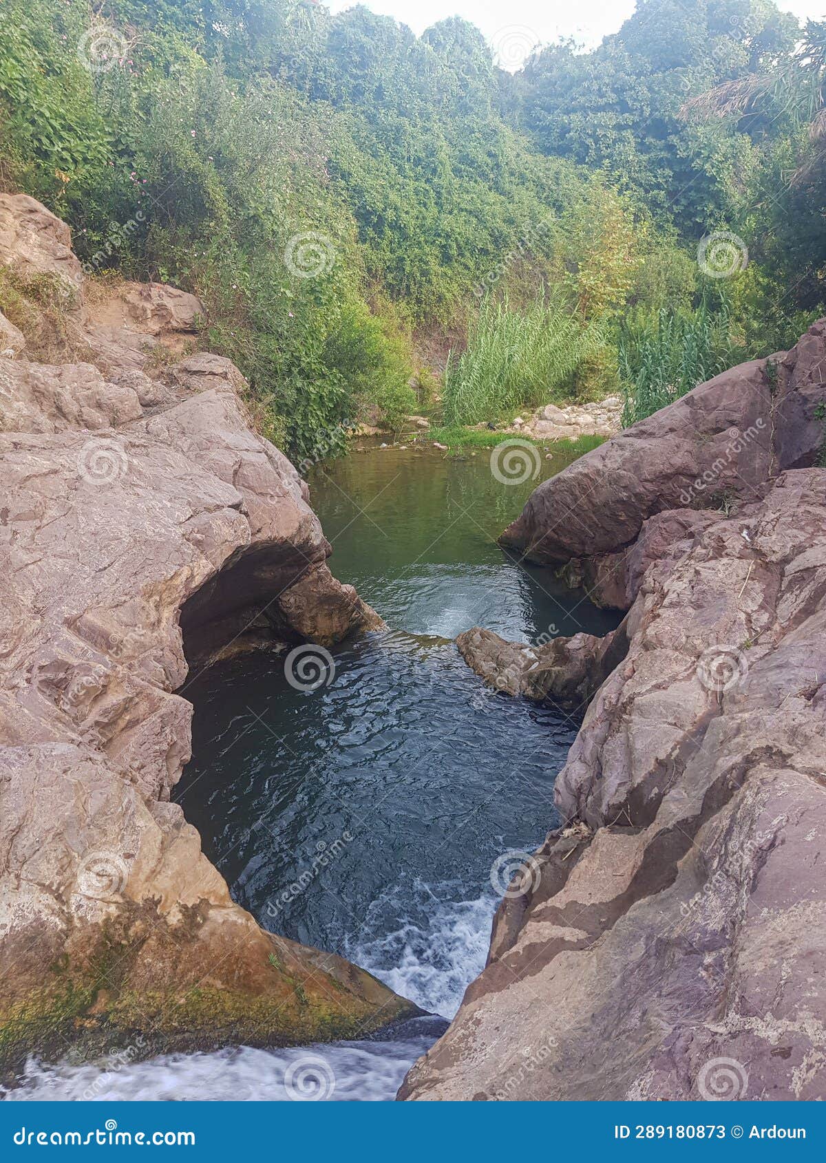 quiet natural pools across the zarqa valley