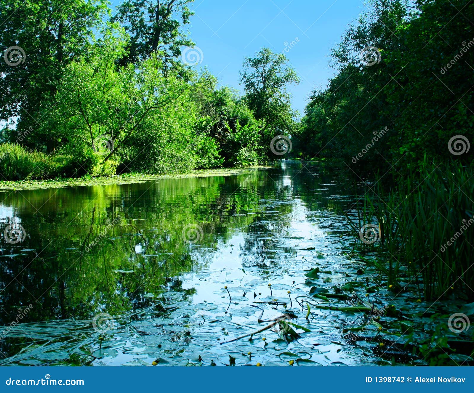 Quiet river scenery stock photo. Image of nature, calm 1398742